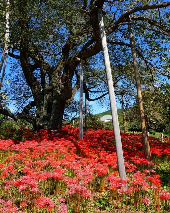 福島県のインスタグラム