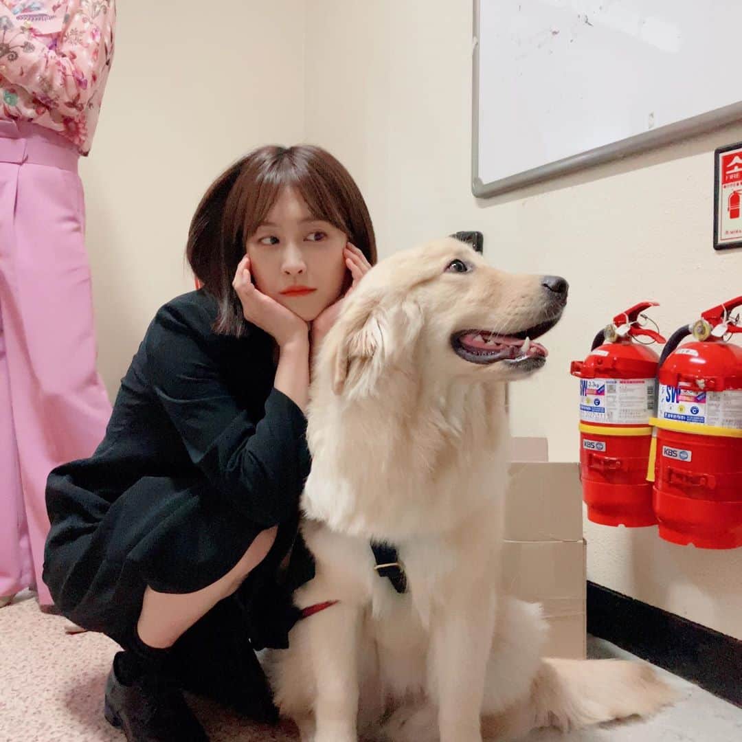 のインスタグラム：「야아아 이쁜아아 나 좀 봐죠오오 😬🐶」