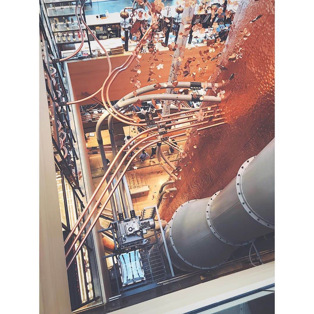 奥村愛子さんのインスタグラム写真 - (奥村愛子Instagram)「* 中目黒の、工場みたいなおしゃれスタバ テラス席がすごく気持ちよかった 飛行機眺めながらぼーっと✈️ 飛行機乗ってないな どこか行きたい」9月22日 17時55分 - okumuraaiko
