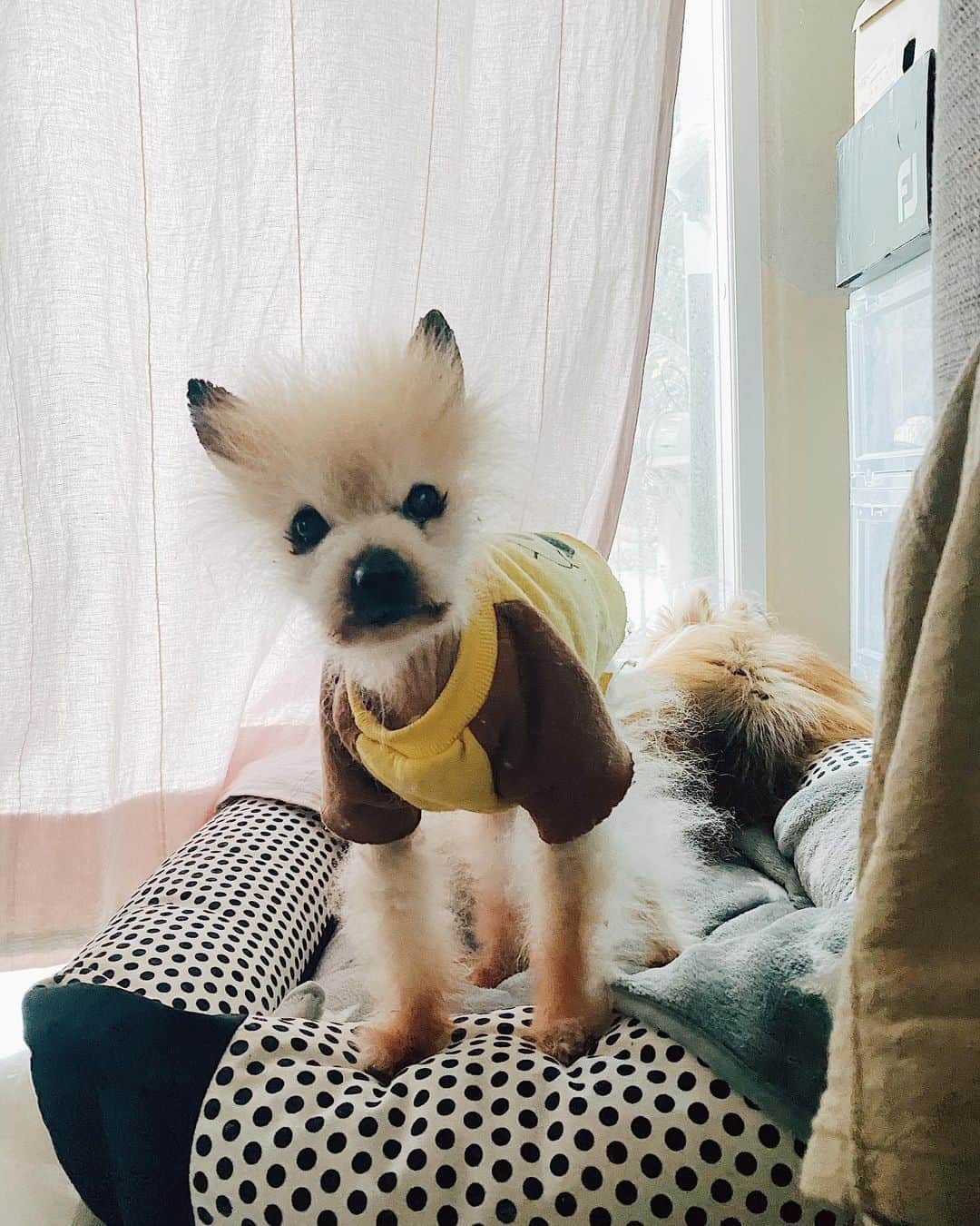 r_oseのインスタグラム：「What ?!?? 🐰〰️」