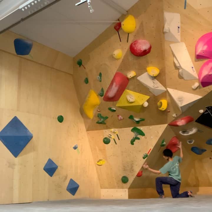 石松大晟のインスタグラム：「・﻿ 今日は @boulderpark_basecamp 🏔﻿ 前回登れなかった三段。﻿ 今日もハマったけどなんとか脱出できた！！﻿ 粘ってよかった！！﻿ ﻿ そのあとはやってない2段をトライして、﻿ 最後はスラブの2段でコーディネーションの練習🙆‍♂️﻿ 三段と二段コンプリート出来て嬉しい👏﻿ 来月の課題も楽しみにしてます🙇‍♂️﻿ ﻿ 最近クライミングの深さを感じることが多くて、﻿ 本質的な部分を楽しめてる気がする！﻿ クライミング楽しすぎでしょ😂﻿ ﻿ #climbing #bouldering #sportsclimbing #boulderparkbasecamp #bouldering_videos_of_instagram #climbing_videos_of_instagram #クライミング #ボルダリング #スポーツクライミング」