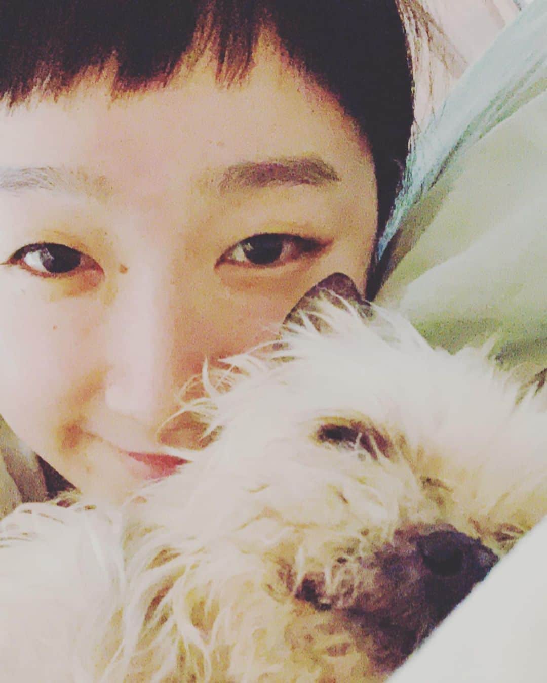 たむらぱんのインスタグラム：「お犬は、私が何をしているか全部知っていた。 #いつだって愛護週間」