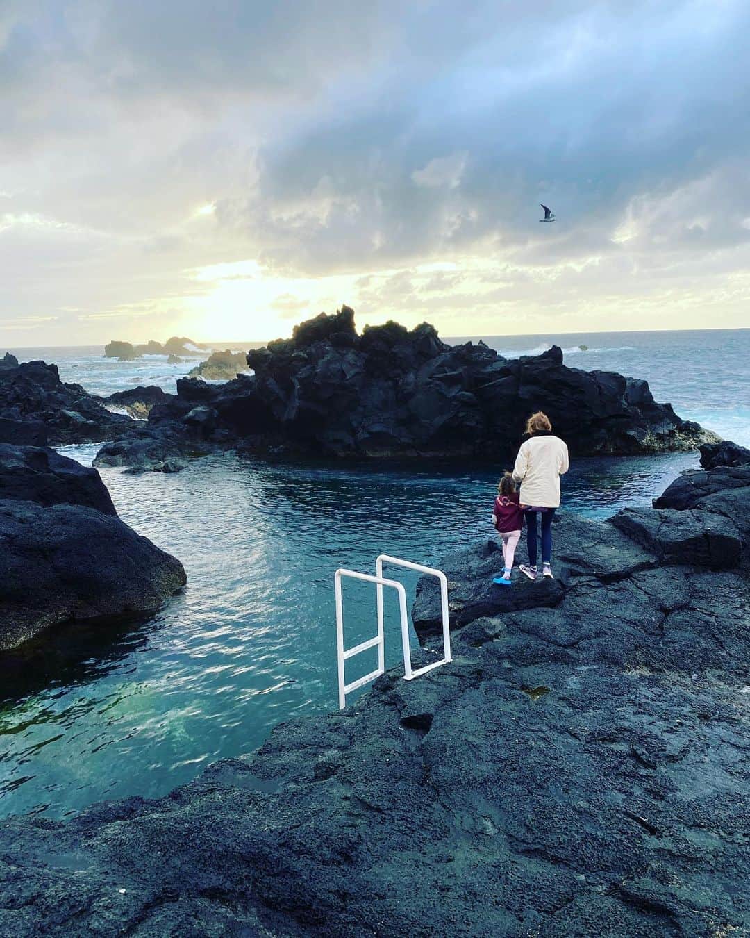 リリー・コールのインスタグラム：「My true lava. 🌋 First day of autumn. Tomorrow I am speaking online with Pat Brown, cofounder of @impossible_foods for Columbia University’s @earthinstitute about - you guessed it - earth! 🌎🥩 ❤️ 1pm EST or 6pm BST ~ link in bio to join us.」