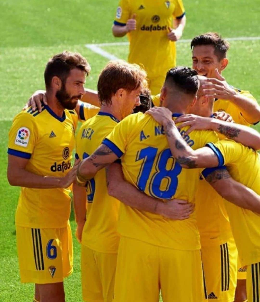 アレハンドロ・フェルナンデス・イグレシアスのインスタグラム：「Familia amarilla💛」