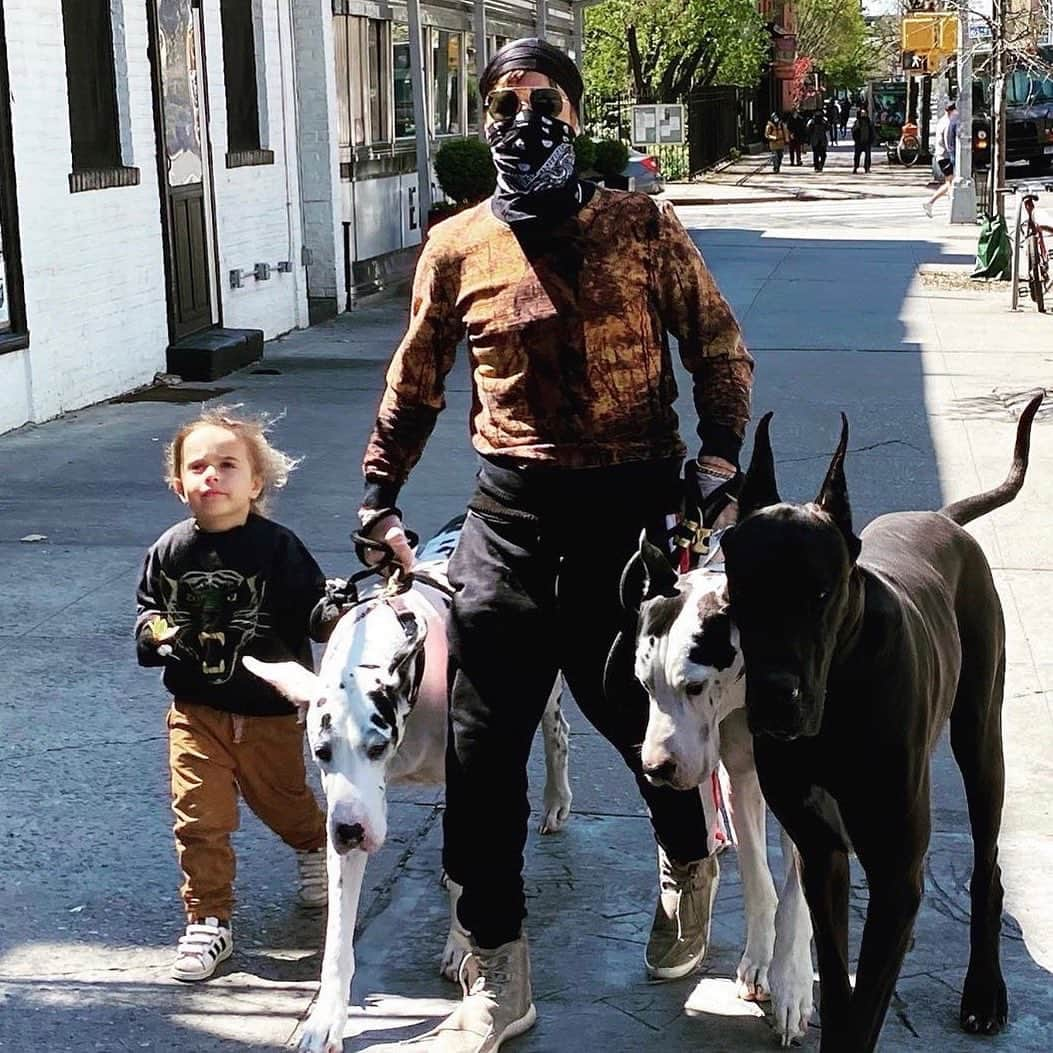 スティーヴン・クラインさんのインスタグラム写真 - (スティーヴン・クラインInstagram)「Please join Ace, Harlow, River, Prince and I in the inaugural ‘Healthy Steps for Healthy Pets’ virtual Walk-A-Thon fundraiser on Saturday, October 3, 2020 where we unite animal lovers and their companions through a single mission: to make the world a healthier place for creatures of all kinds. This event will raise critical funds for @vetsinternational (VI), a global non-for-profit that provides veterinary care for animals in need including orphaned baby elephants, rescued chimpanzees, and dogs and cats of impoverished families.   Unlike other walk-a-thons, you don't have to show up at a particular time or place. This event is being held around the globe so anyone, anywhere can participate.    The task is simple.  Register here or see link in bio: www.healthystepsforhealthypets.com and on October 3, walk 0.5 miles with your pet.   Start your pledging now! The person who raises the most funds will win a photo shoot  with me! You’re welcome to bring your pet along as well!」9月23日 5時04分 - stevenkleinstudio