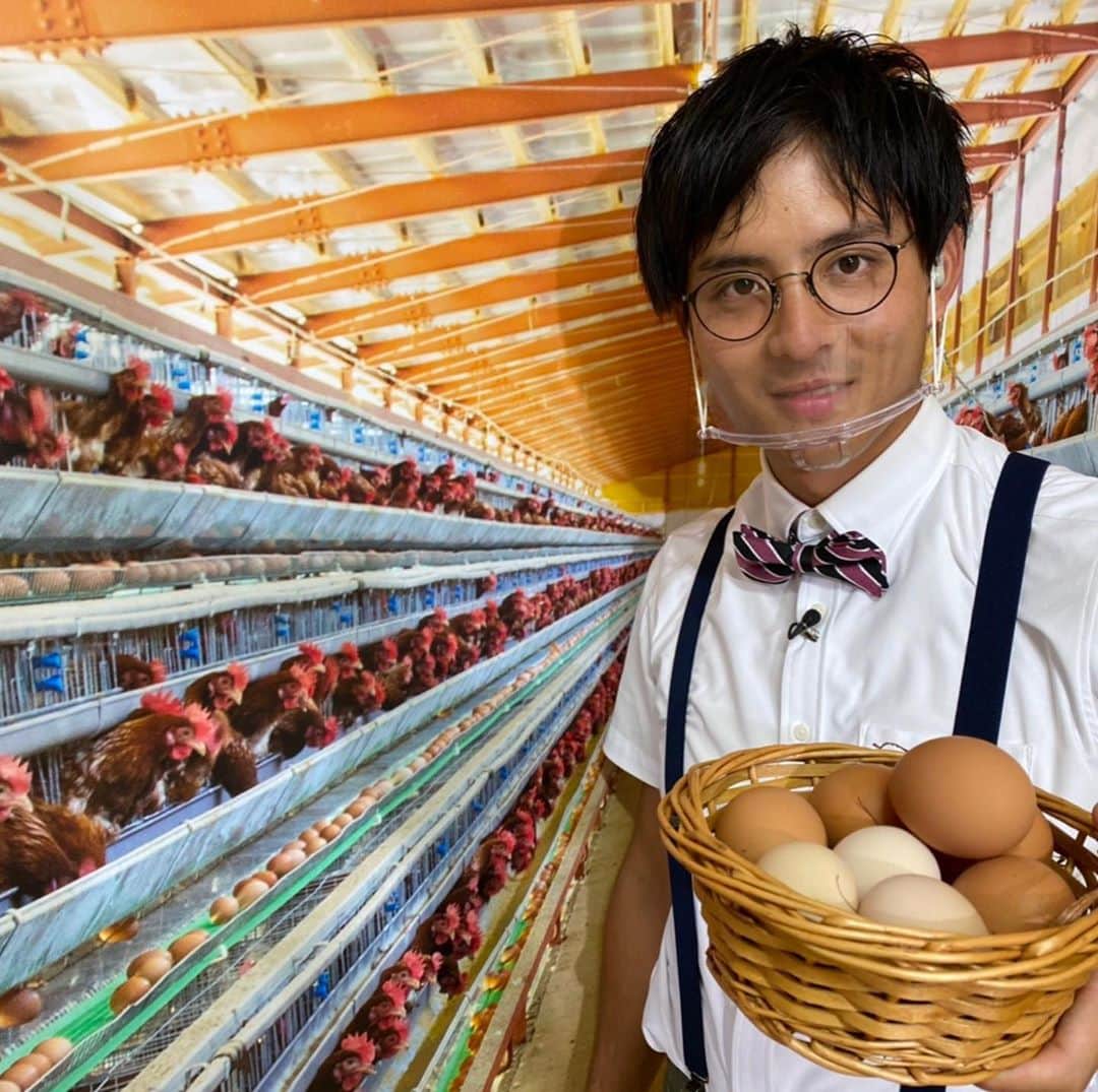 江間丈さんのインスタグラム写真 - (江間丈Instagram)「#えま会いにゆきます 先週はたむらのタマゴの鶏舎に お邪魔しました😊 生まれて初めての鶏舎で 興奮しました✨ 社長と専務にご出演して頂き おいしい卵を食べさせてもらい🥚 大満足でした❗️ 徳島県内のスーパーでも 販売していますので、 見つけたらチェックしてみてください😊  #たむらのタマゴ #ゴジカル #中継 #生放送 #徳島 #テレビ #アナウンサー #情報募集」9月22日 20時49分 - ema_takeru_official