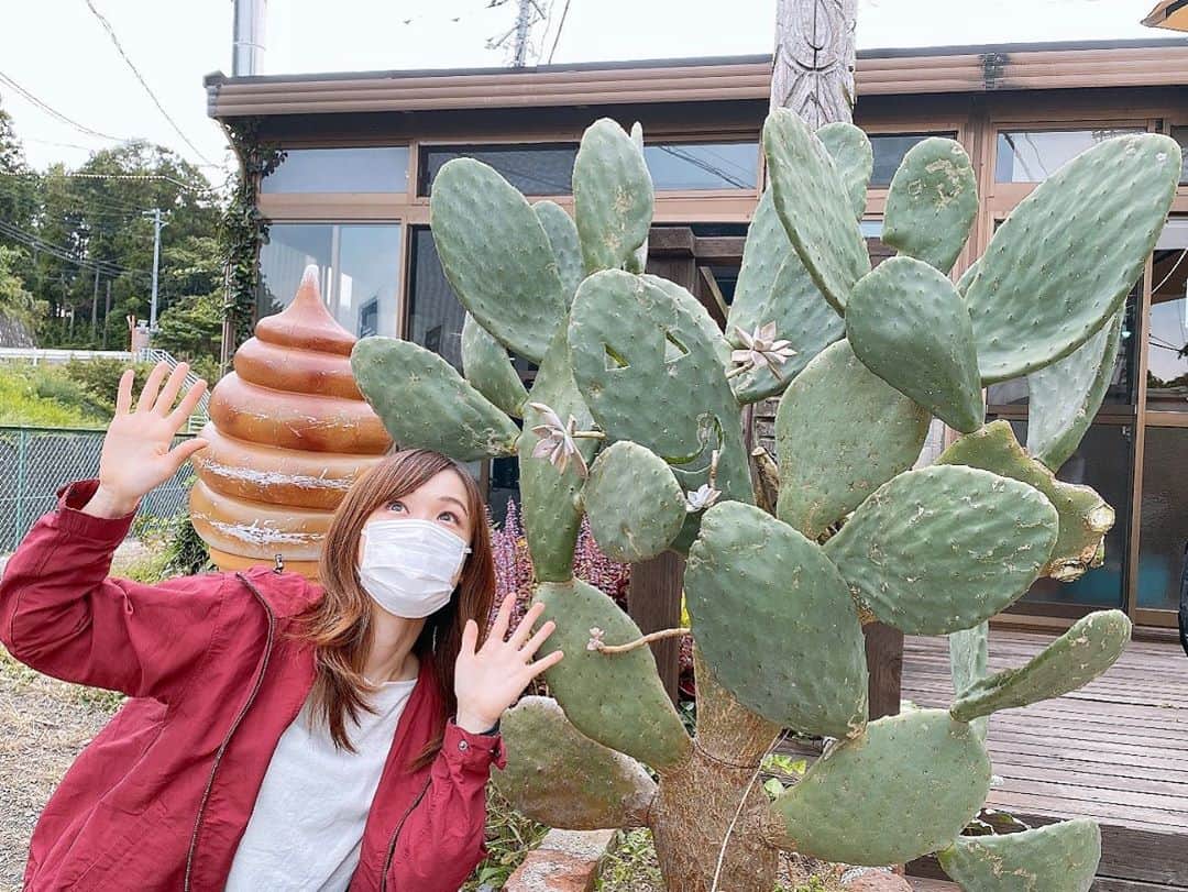 大後寿々花さんのインスタグラム写真 - (大後寿々花Instagram)「写真の時でもマスク外さないスタイル😷笑  #七沢温泉 #本厚木 #借りて住みたい街ランキング #1位 #🌵」9月22日 20時43分 - suzuka_ohgo