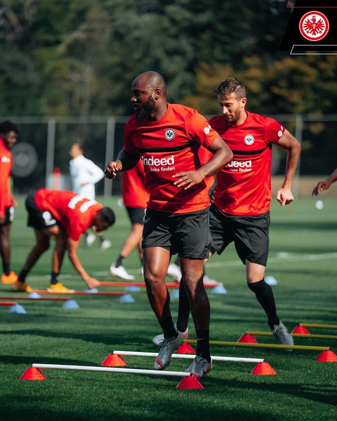 アイントラハト・フランクフルトさんのインスタグラム写真 - (アイントラハト・フランクフルトInstagram)「Welcome back, @jwillems15 👏👏 • • #training #willems #sge #eintracht #frankfurt #eintrachtfrankfurt」9月22日 20時48分 - eintrachtfrankfurt