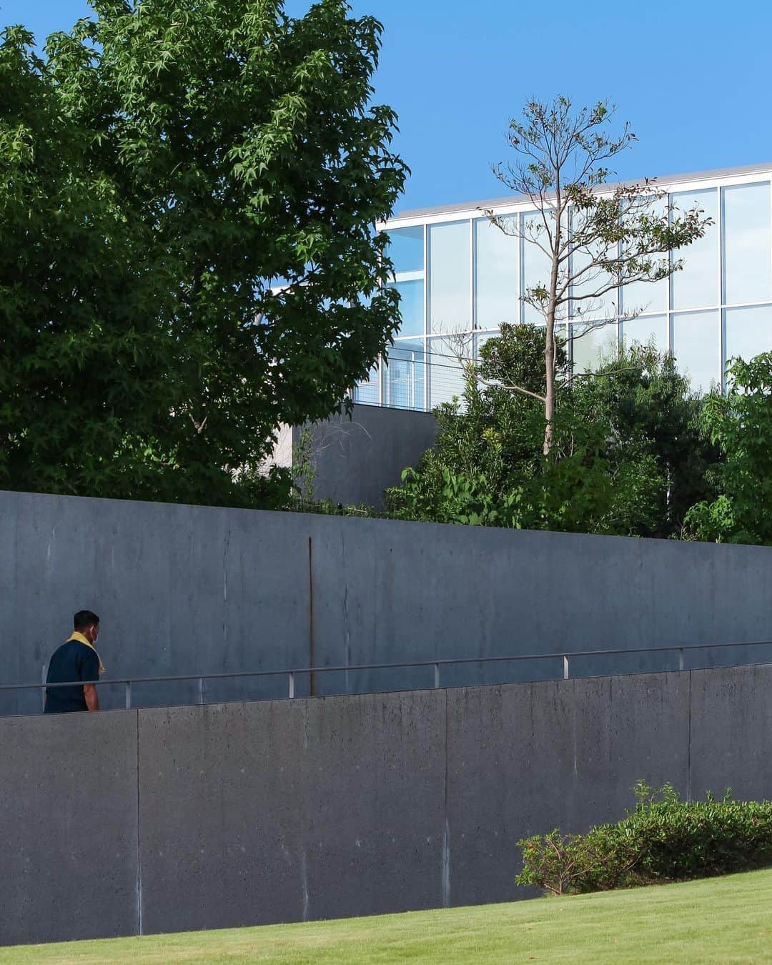 s_shoheyのグルメインスタ