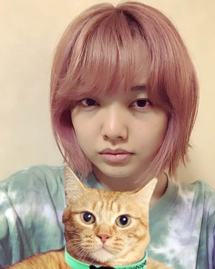 上原実矩のインスタグラム：「動物とバーチャルでふれあう。 いい髪色記念。毎日色が変わる。」