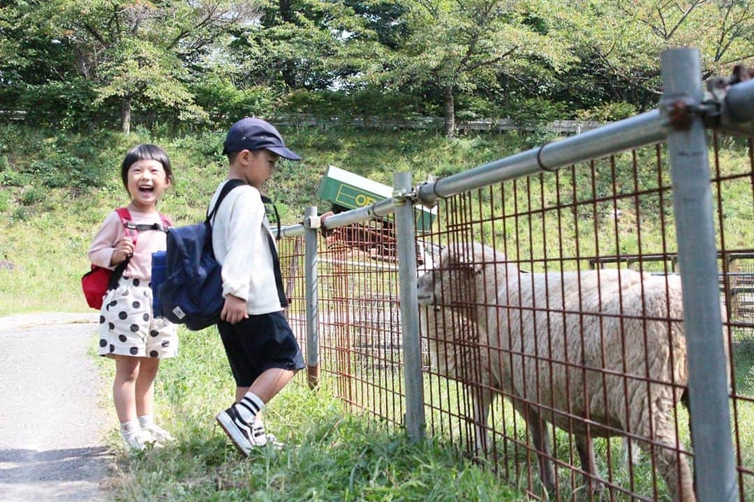 イズミのインスタグラム：「９月２２日 とりあえず楽しすぎる１日でした🐑  #石筵ふれあい牧場  #郡山」