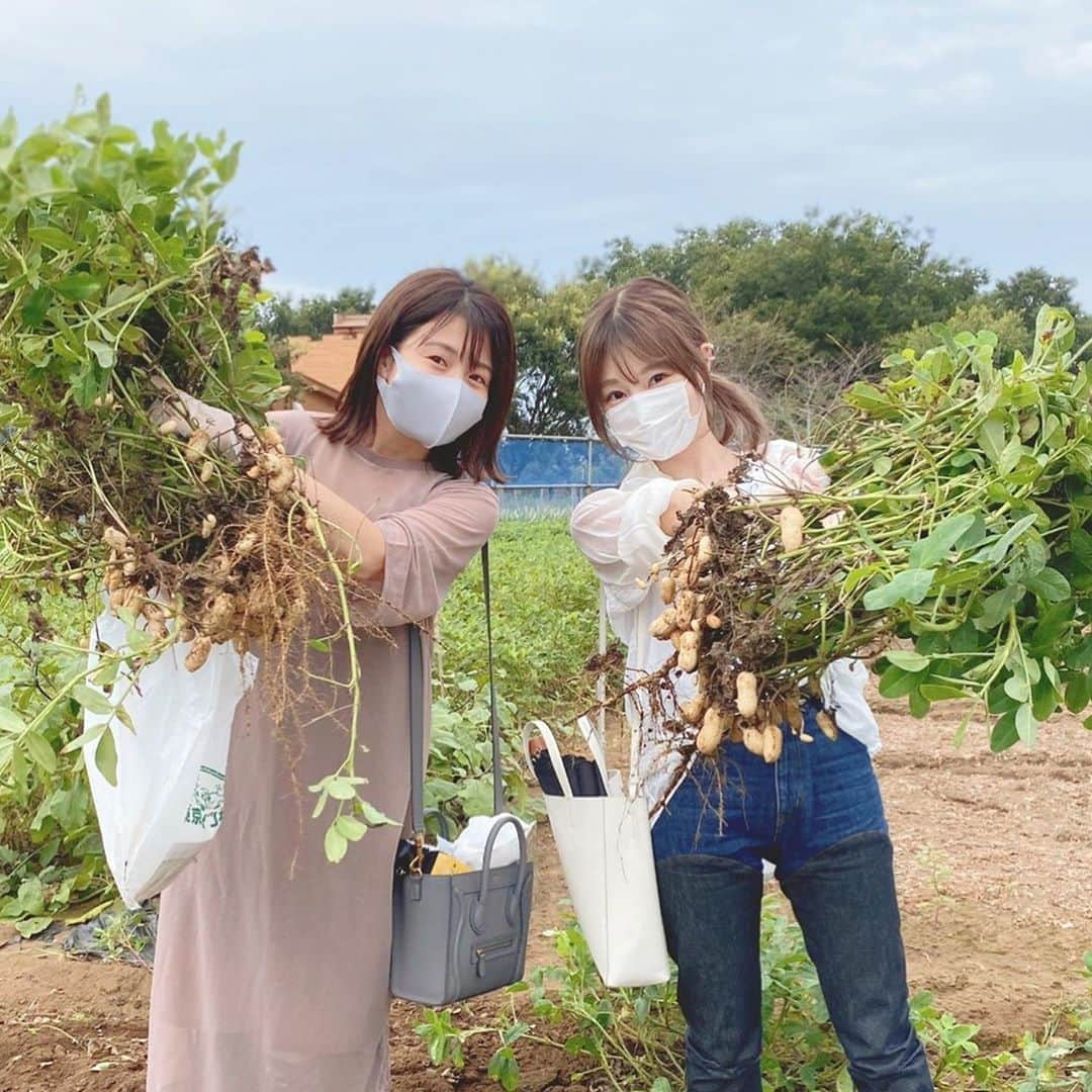 田中萌さんのインスタグラム写真 - (田中萌Instagram)「* この前、あいなさんと落花生掘って さつまいも掘って食べました🍠✨ @あいなさん家のベランダ  #ドライブ#落花生#さつまいも#掘り体験#楽しかった#ゆで落花生#焼き芋#美味#スイートポテトも作った」9月22日 22時00分 - moetanaka_ex