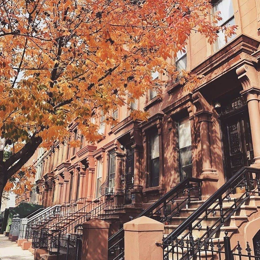 ダフネ・ジョイのインスタグラム：「Happy First Day of Fall! 😍 Can’t wait until I see the city like this!」