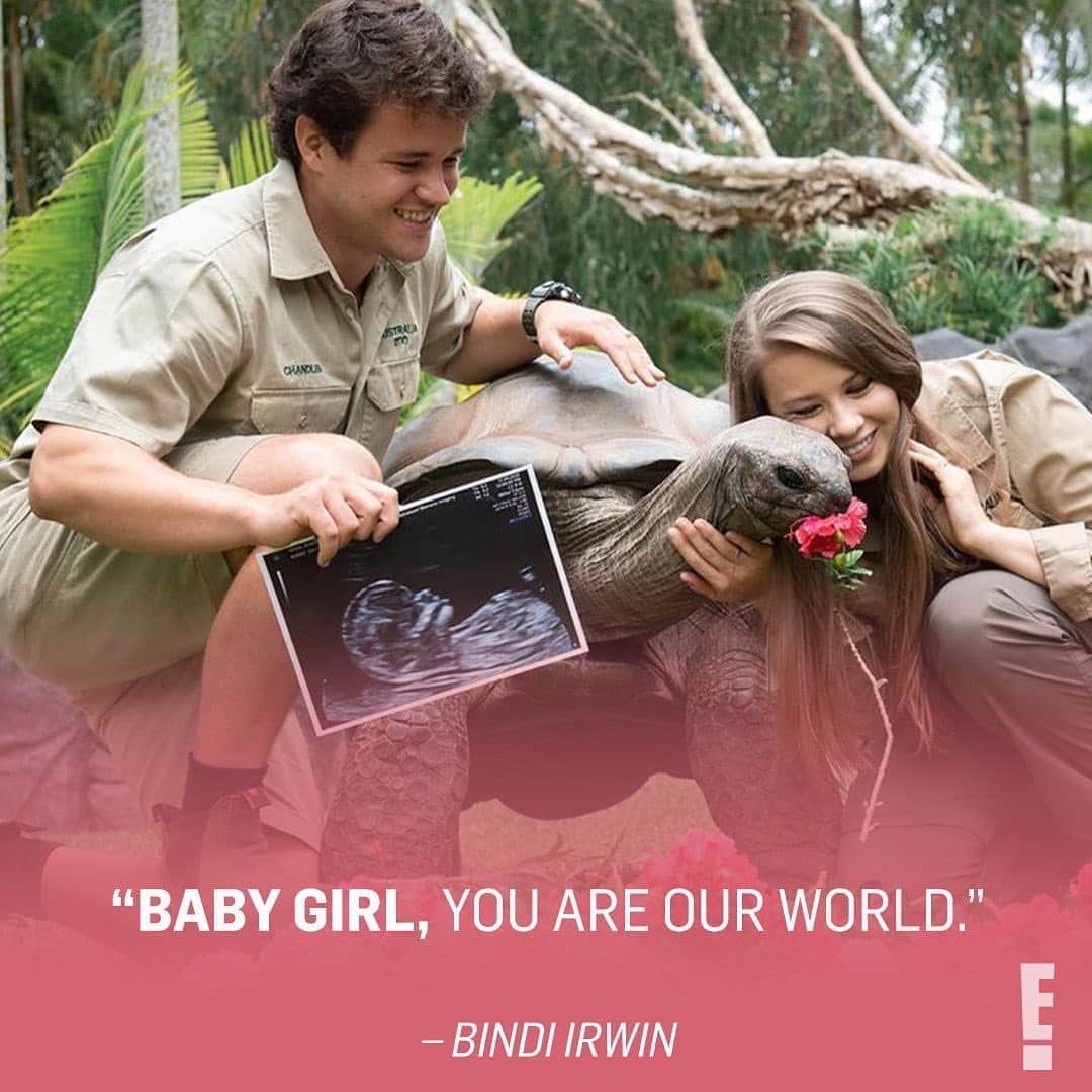 E! Onlineさんのインスタグラム写真 - (E! OnlineInstagram)「It's a girl! No, not the turtle. Bindi Irwin and her hubby Chandler Powell announced the gender of their baby! 💗 (📷: Instagram)」9月22日 22時01分 - enews