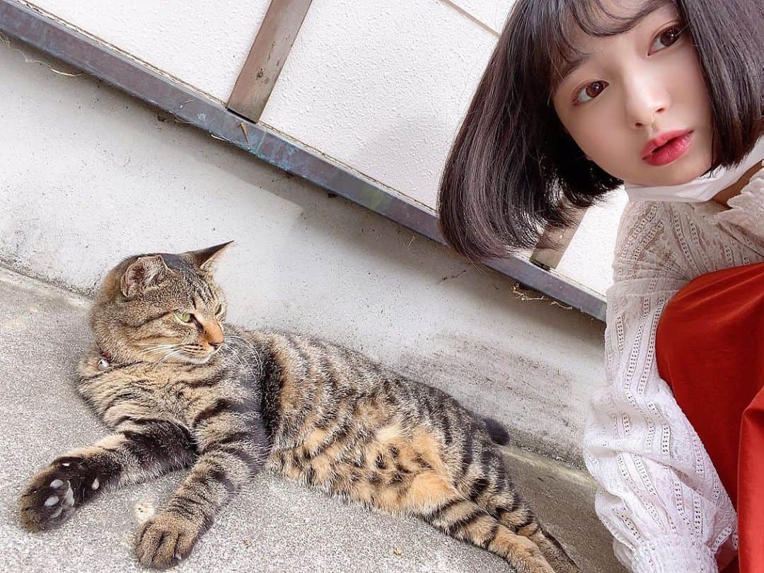 小室ゆらさんのインスタグラム写真 - (小室ゆらInstagram)「.﻿ ﻿ ﻿ 栃木にある #猫神社 🐈♡﻿ ﻿ 境内や参道にたくさんの猫ちゃんがいて﻿ 心身ともに癒されました、、﻿ ﻿ にゃにゃ子にとっても好かれている父は﻿ 他の猫ちゃんにもモテまくってました🤨羨ましい﻿ ﻿ ﻿ 皆さんの #4連休 の思い出は何ですか☺︎︎﻿ ﻿ ﻿ .」9月22日 23時03分 - komuro_yura_official