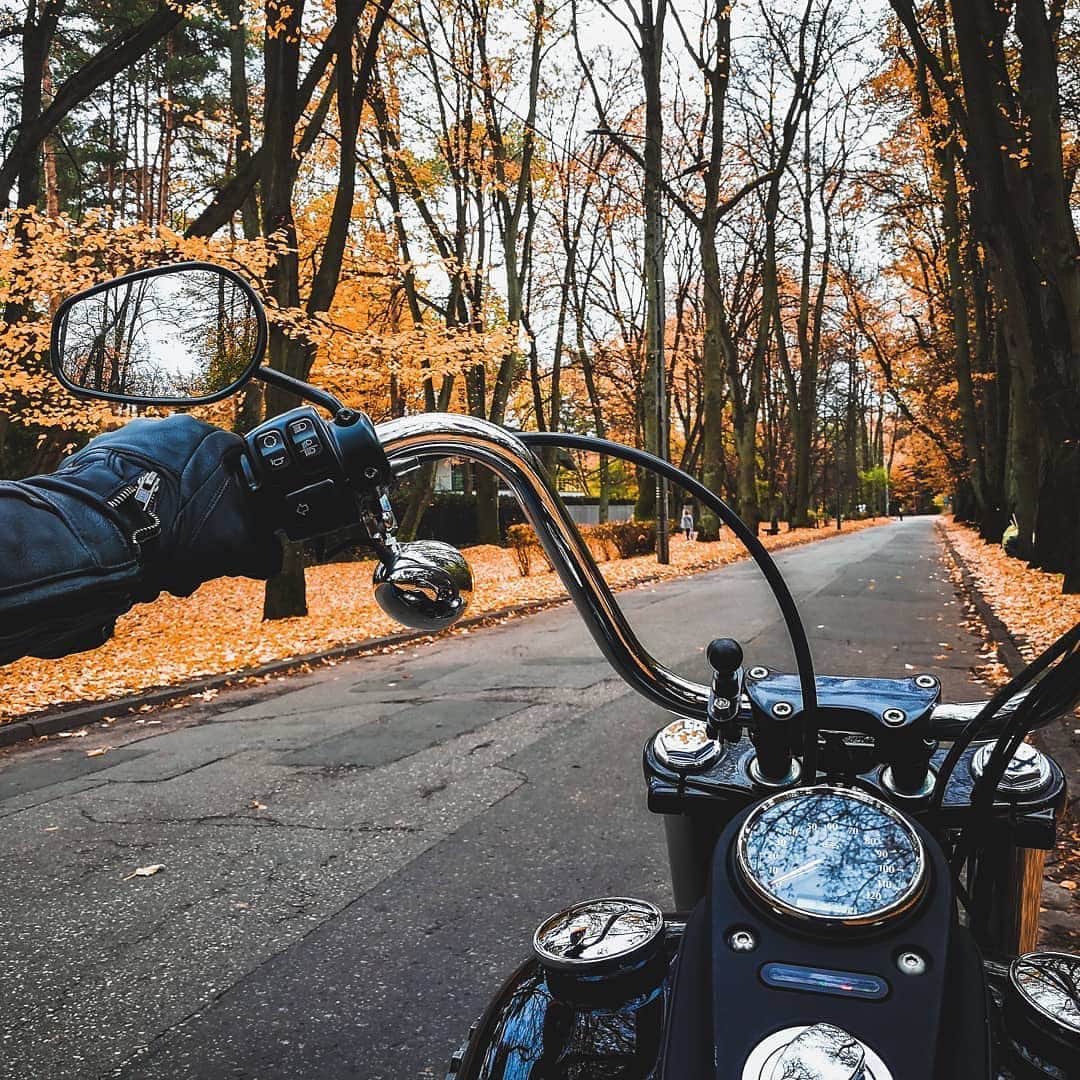 Harley-Davidsonさんのインスタグラム写真 - (Harley-DavidsonInstagram)「It’s that time of year where every road becomes the scenic route. Happy #FirstDayOfFall! #HarleyDavidson」9月22日 23時07分 - harleydavidson