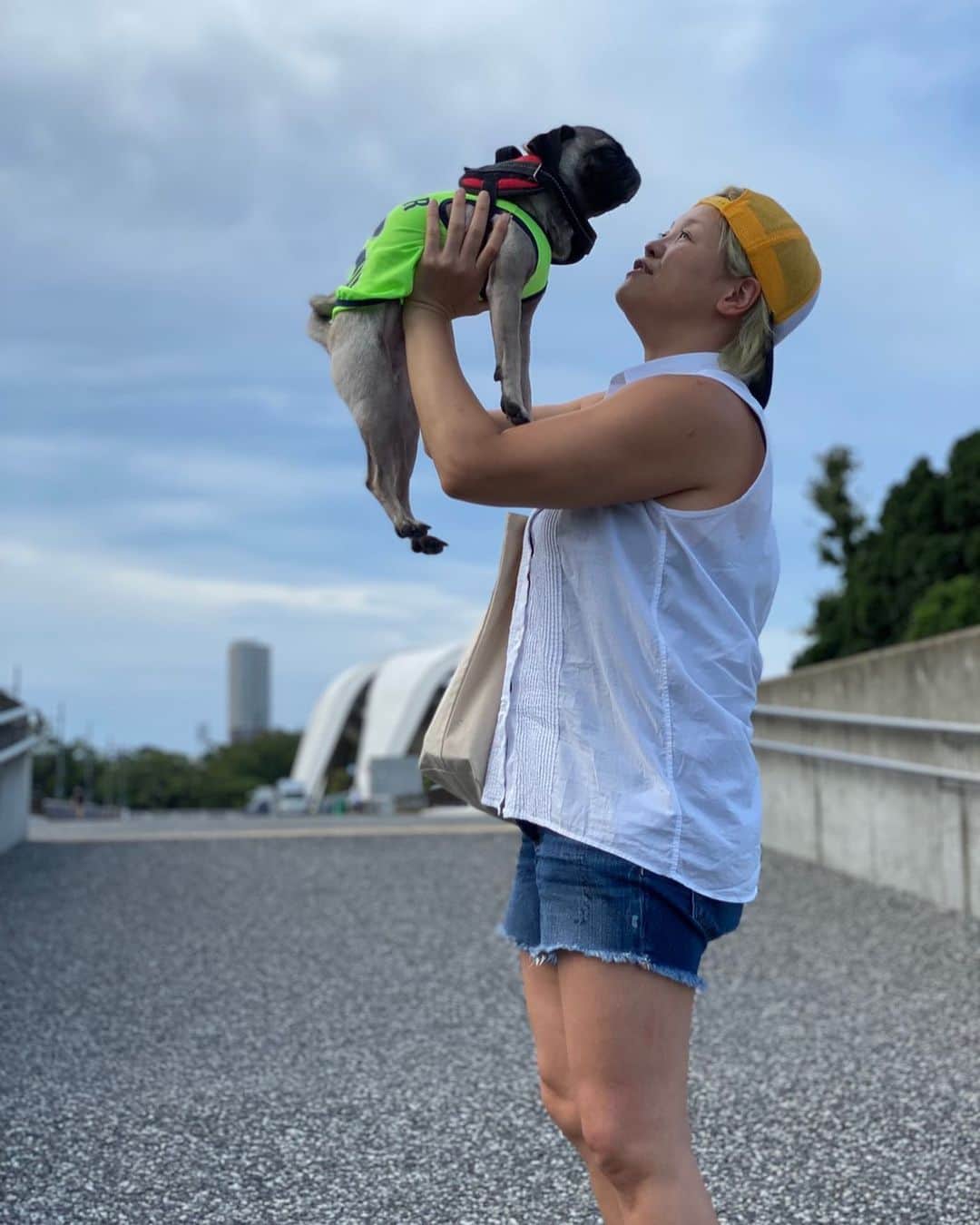 高橋奈苗のインスタグラム：「なんか新しい夢というか目標がぽこぽこ出来てきた✨  ふふふふ🌈  #高橋奈七永 #夢 #パグ #ぱぐすたぐらむ  #パグのいる生活  #鼻ぺちゃ先輩」