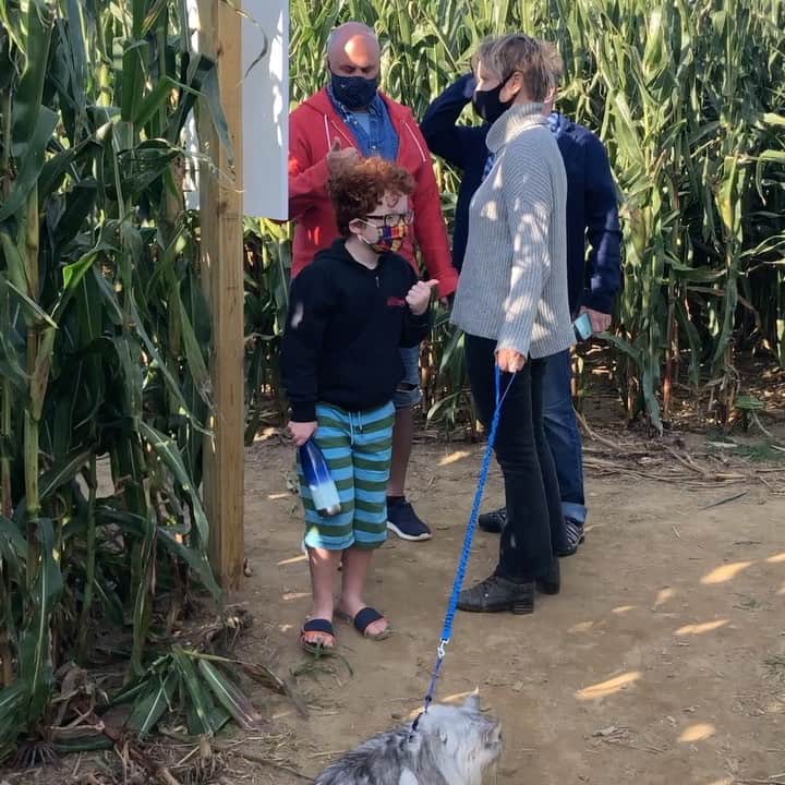 シンシア・ニクソンのインスタグラム：「Fun in the corn maze with Max, his two dads, me, and his cat Aurora. (His other mom is the videographer).  Happy fall everybody!」