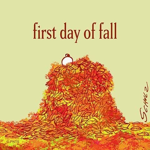 スヌーピーさんのインスタグラム写真 - (スヌーピーInstagram)「Happy first day of Fall 🍂」9月22日 23時47分 - snoopygrams
