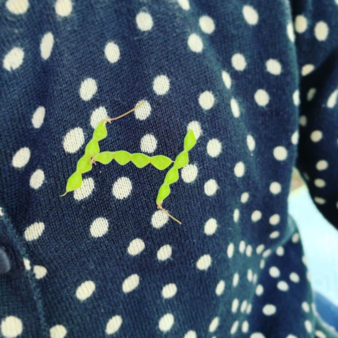五月女ケイ子のインスタグラム：「可愛くて、くっつく種を見つけたので、字を書いてみたシルバーウィーク」