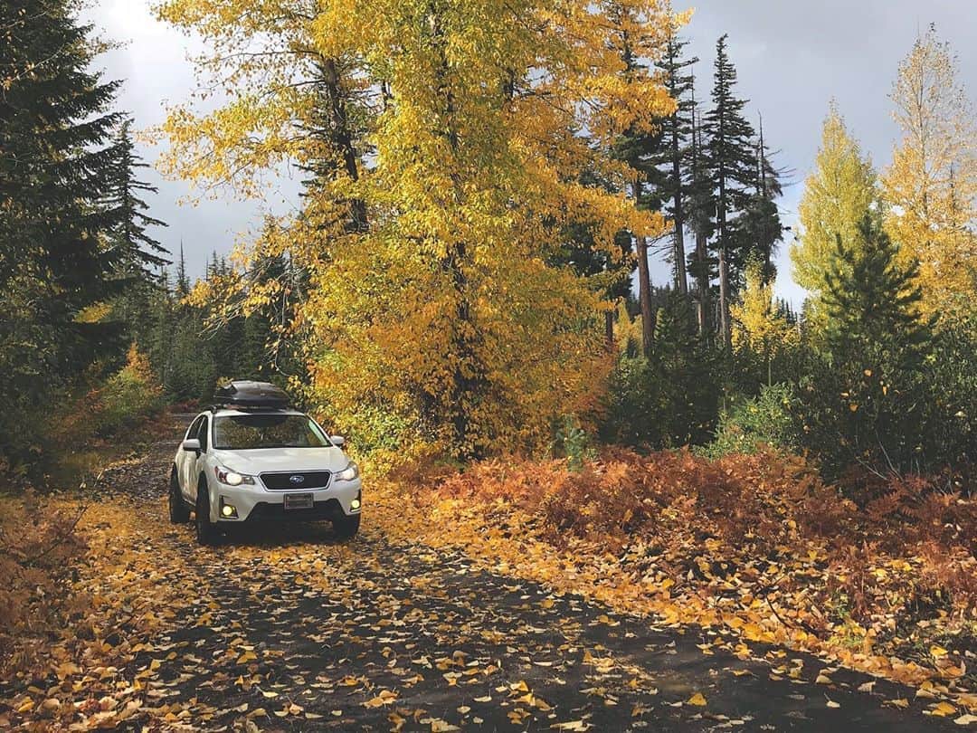 Subaru of Americaのインスタグラム