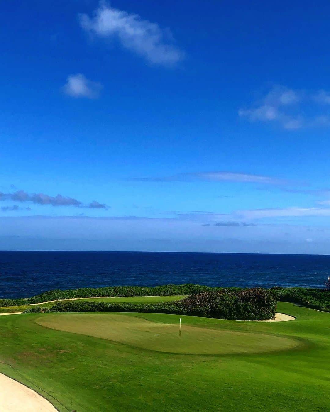 PGA TOURさんのインスタグラム写真 - (PGA TOURInstagram)「Island golf. 🌴⛳️ Welcome to the @coraleschampionship.」9月23日 0時01分 - pgatour