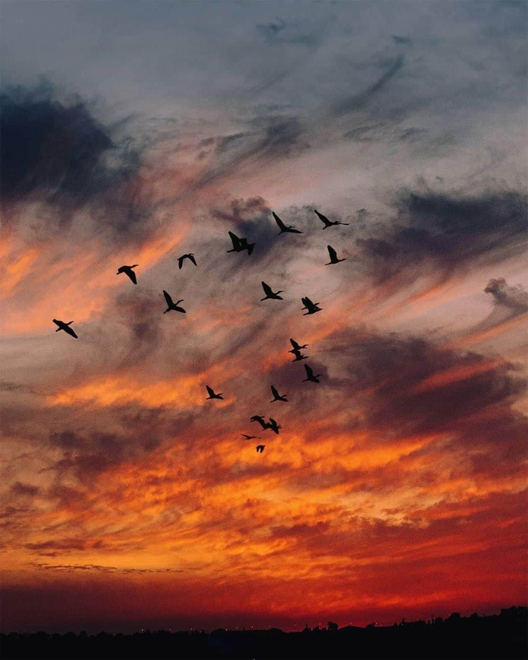 Discover Earthさんのインスタグラム写真 - (Discover EarthInstagram)「These skies...Did you ever see such beautiful colours ? Looks like the bird's migration started ! Pictures by @my_soulwax  #discoversunset #birdsofinstagram #sunsets」9月23日 0時01分 - discoverearth