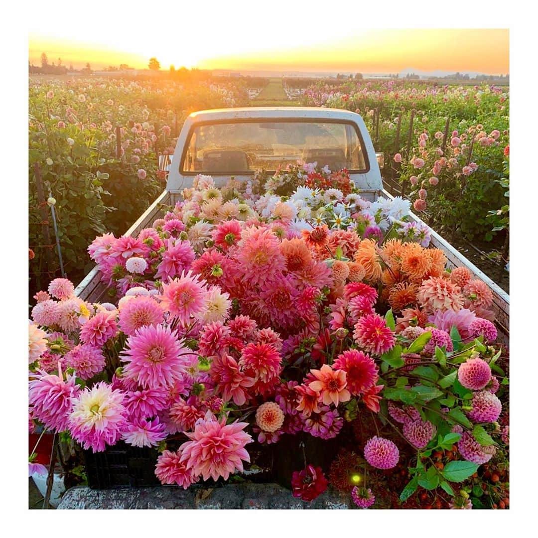 ジュリアナ・パエスのインスタグラム：「Seja bem-vinda, primavera! A estação mais linda do ano pra mim, e pra vcs? 🌸🌺🌼🌹🌷🌻💐 Hoje aqui no RJ só chove!!! Hahahah 🌧😂」