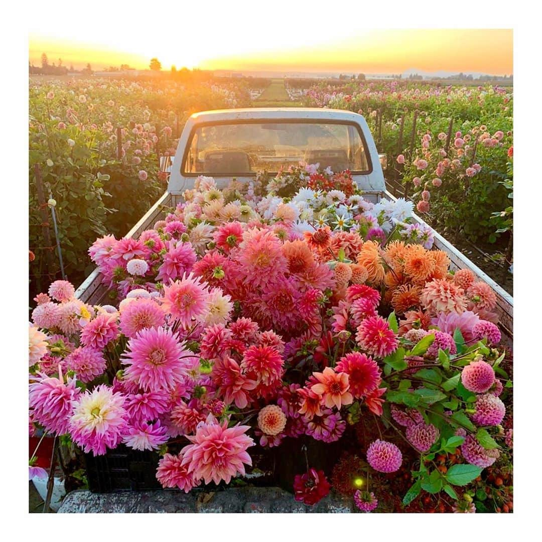 ジュリアナ・パエスさんのインスタグラム写真 - (ジュリアナ・パエスInstagram)「Seja bem-vinda, primavera! A estação mais linda do ano pra mim, e pra vcs? 🌸🌺🌼🌹🌷🌻💐 Hoje aqui no RJ só chove!!! Hahahah 🌧😂」9月23日 5時53分 - julianapaes