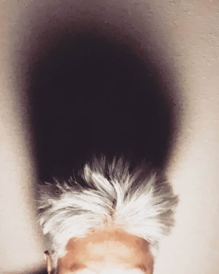 イマイアキノブのインスタグラム
