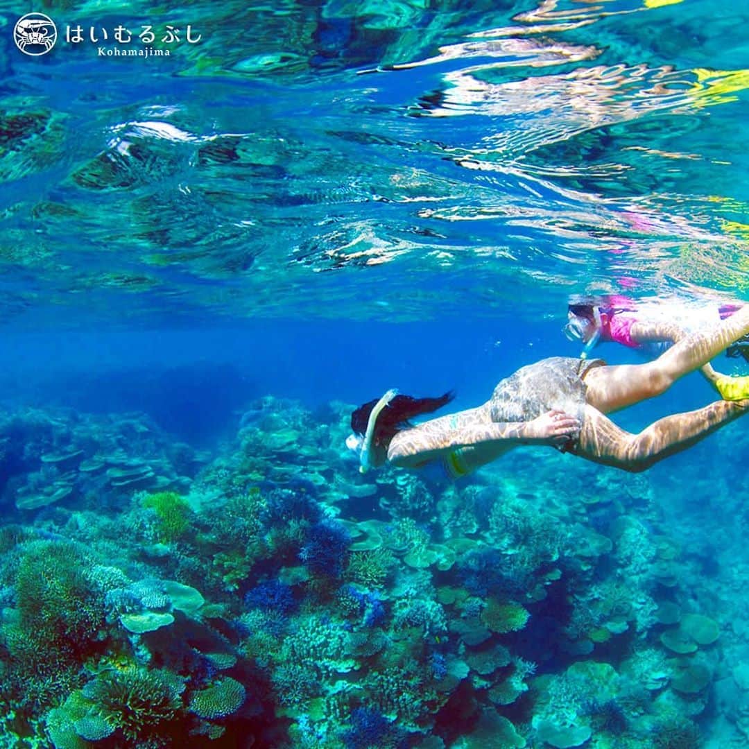 HAIMURUBUSHI はいむるぶしさんのインスタグラム写真 - (HAIMURUBUSHI はいむるぶしInstagram)「小浜島・はいむるぶしから癒しの風景をお届けします。 世界有数の美しいサンゴ礁の海が広がる八重山諸島。 造礁サンゴの種類は400種類以上有り、世界最大のサンゴ礁グレートバリアリーフよりも多いです。 #沖縄 #八重山諸島 #石西礁湖 #サンゴ礁 #リーフ #シュノーケル #小浜島 #リゾート #ホテル #はいむるぶし」9月23日 0時53分 - haimurubushi_resorts