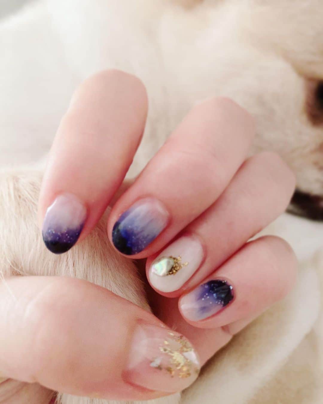 飛鳥凛のインスタグラム：「寝ている愛犬のお手をお借りして新しいネイル💅♡笑 夜空をイメージしたグラデーションに星っぽいラメを入れ込んで…クリアと白の指には新しく買った石とゴールドホロを乗せました✨  私は元々爪が薄いのでクリアでもジェルしてないと割れちゃうからお家で簡単に出来るのは本当助かる。。。 ちなみに今回も全て100均の#seria で購入したジェルネイル用品でやったよ！！ #セルフネイル  #チワポメ」