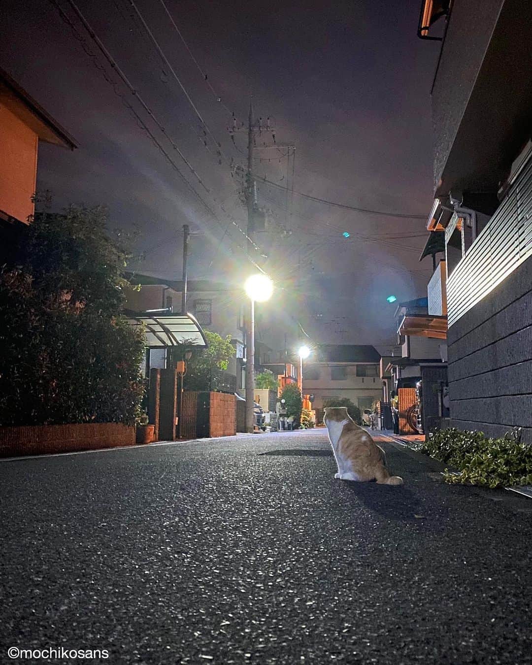 もちさん / mochiのインスタグラム