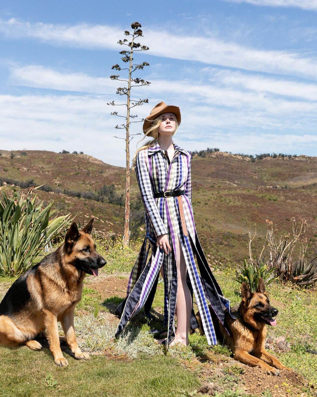 エル・ファニングさんのインスタグラム写真 - (エル・ファニングInstagram)「A socially distanced shoot with some four legged friends! 🌾 To be standing tall on your cover is a fantasy fulfilled. Thank you @vanityfair ❤️ and @janceedunn for your beautiful words. Our zoom call conversations were so fun, open, and almost completely glitch free 🥳」9月23日 1時58分 - ellefanning