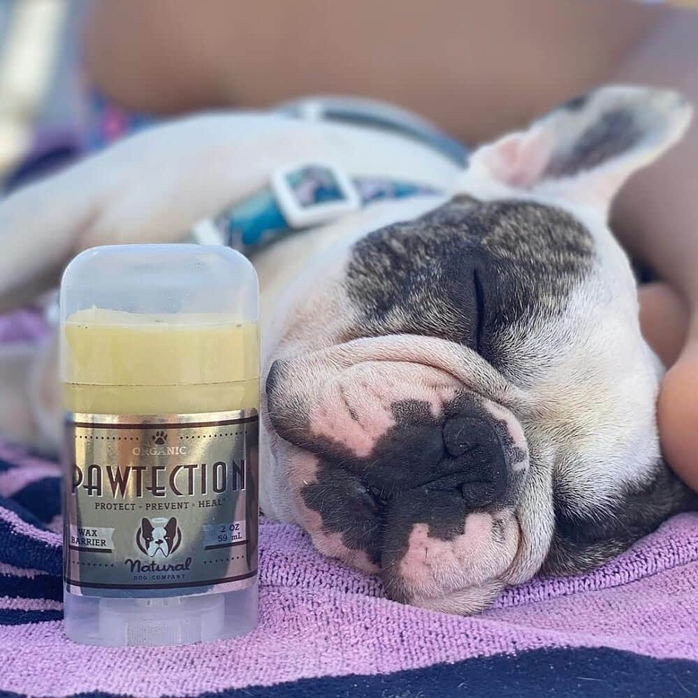 Regeneratti&Oliveira Kennelさんのインスタグラム写真 - (Regeneratti&Oliveira KennelInstagram)「Paw protection is more important than people think. Harsh surfaces and weather can dry out paws, causing them to split and crack. #PawTection from @naturaldogcompany is made from all-natural waxes that provide a barrier for the paw, locking in moisture but still allowing the skin to breathe. . ⭐ SAVE 20% off @naturaldogcompany with code JMARCOZ at NaturalDog.com  worldwide shipping  ad 📷: @bull_rocky . . . . . . . #frenchiepetsupply #frenchiesofinsta #pugsofinsta #frenchbulldog #frenchiesofinstagram #pug #frenchies #reversibleharness #frenchiehoodie #thedodo #frenchieharness #dogclothes #dogharness #frenchiegram #dogsbeingbasic #frenchieoftheday #instafrenchie #bulldogs #dogstagram #frenchievideo #cutepetclub #bestwoof #frenchies1 #ruffpost #bostonterrier #bostonsofig #animalonearth #dog」9月23日 2時00分 - jmarcoz