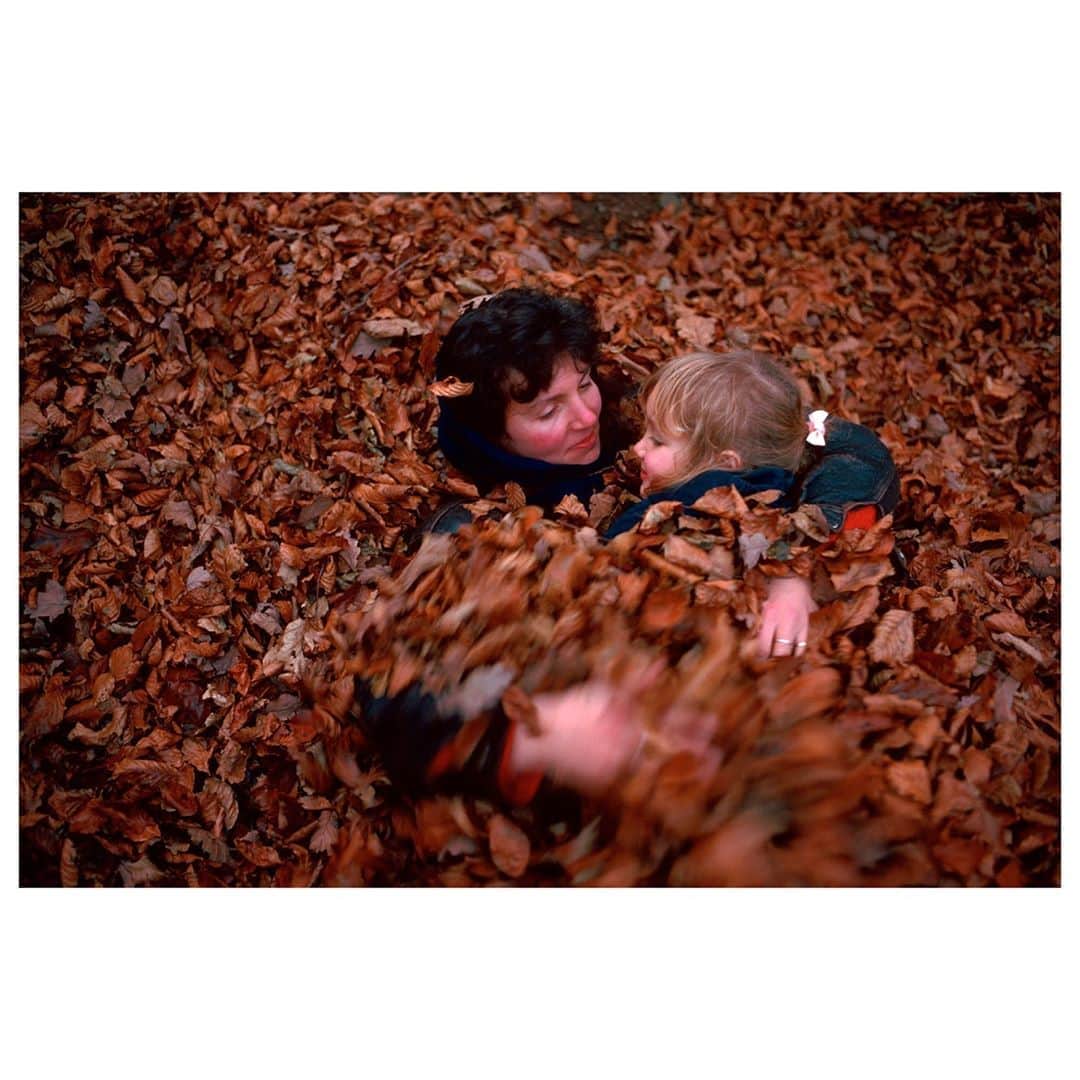 Magnum Photosさんのインスタグラム写真 - (Magnum PhotosInstagram)「"It is hard to write about fall without feeling like one is dipping into a familiar store of words. They come up again and again. Leaves. Trees. Bonfires. Fireworks. Wood-smoke." - @rosalindjana⁠ .⁠ To mark the beginning of fall in the Northern Hemisphere, writer @rosalindjana reflects on the aspects of the season as she delves into the work of Magnum photographers.⁠ .⁠ PHOTO: Quantock Hills. Somerset county. England. Great Britain. 1986.⁠ .⁠ © #StuartFranklin/#MagnumPhotos⁠ .⁠ #autumn 🍁 #fall」9月23日 2時02分 - magnumphotos