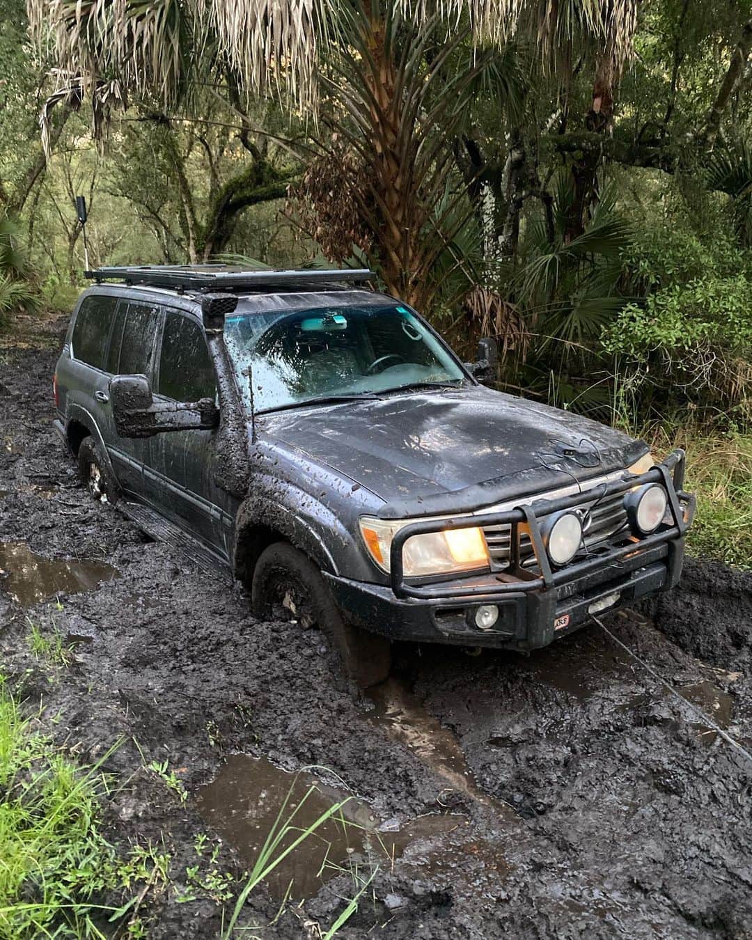 National Geographic Creativeさんのインスタグラム写真 - (National Geographic CreativeInstagram)「By @CarltonWard / The Florida Wildlife Corridor claimed all four or our vehicles during the Last Wild Places film expedition for @insidenatgeo. My Land Cruiser went down first. Mud tires and lockers were little help when the trail turned to soup. Next were the rental suburban and 4Runner. To end strong, we got the rental RV stuck 20 feet from its parking spot, just hours before the camera team’s flights back to Utah and Montana. #WetSeason Photos by @danny_schmidt @torilinder @ricksmith_media @morth_photo @leyoho. @Fl_WildCorridor @PathofthePanther #KeepFLWild」9月23日 2時10分 - natgeointhefield