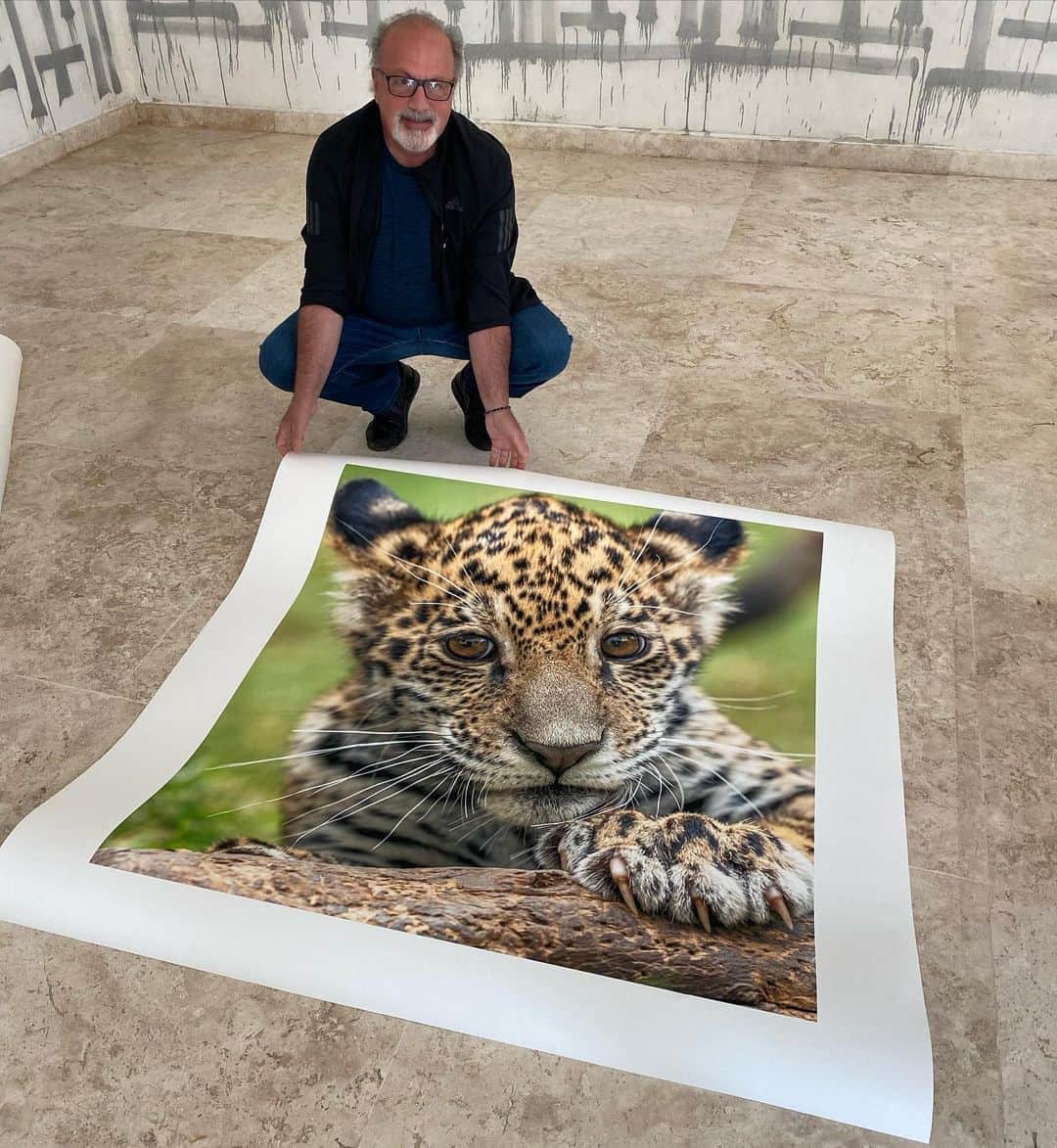 Black Jaguar-White Tiger さんのインスタグラム写真 - (Black Jaguar-White Tiger Instagram)「In Love :) @markosachar」9月23日 2時54分 - blackjaguarwhitetiger