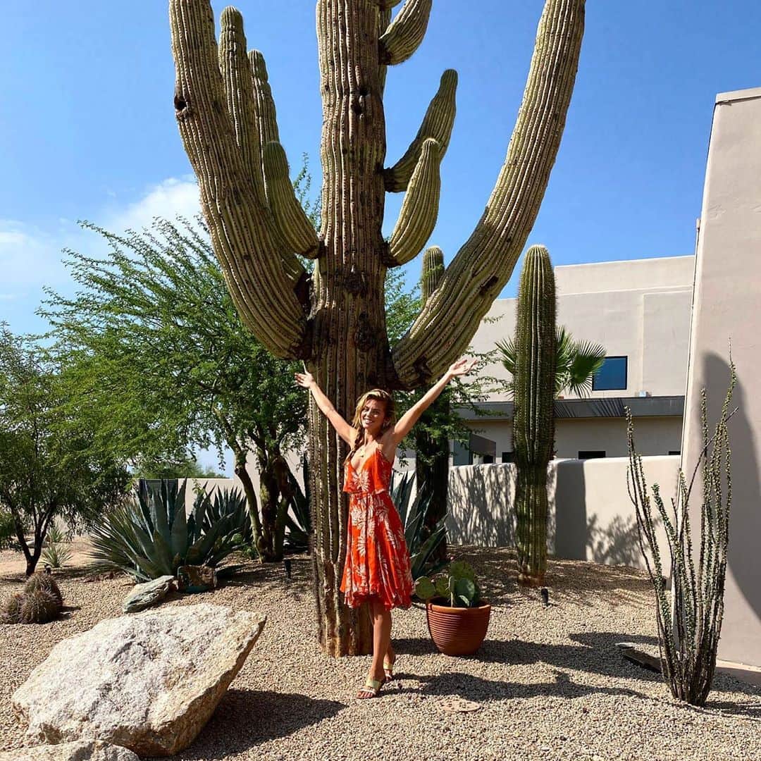 アナリン・マッコードのインスタグラム：「I am beyond grateful for this beautiful chance to be outside in nature. It was defffffinitely HOT out in the desert, but the resilience of plants like cacti (some of which can live up to 200 years!!) represented a profound lesson for me. I have spent quite some time feeling “out in the wilderness”. This was a wonderful reminder that even in the most difficult moments, or the “harshest of climates” in our lives, we can find always beauty, if we choose to see it. 🌵 (Lesson number 2: dance with, just don’t lean on [or accidentally fall into] desert plants 😂)」