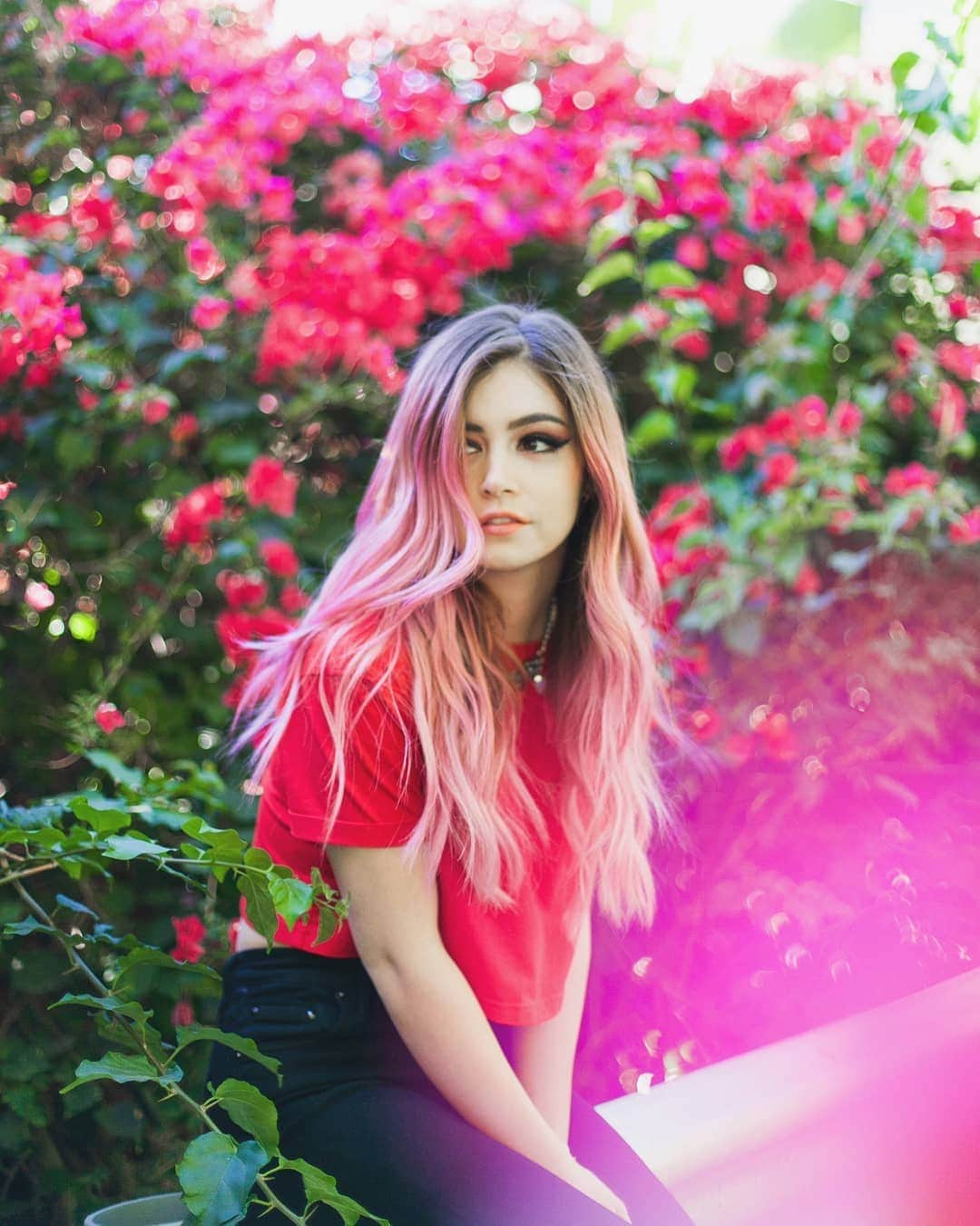 アゲインスト・ザ・カレントさんのインスタグラム写真 - (アゲインスト・ザ・カレントInstagram)「Sweeter than cotton candy 🌸  __  #againstthecurrent #chrissycostanza #willferi #dangow #atc #pastlives #gravity #music #guesthouse #watchvenn」9月23日 3時54分 - againstthecurrentny