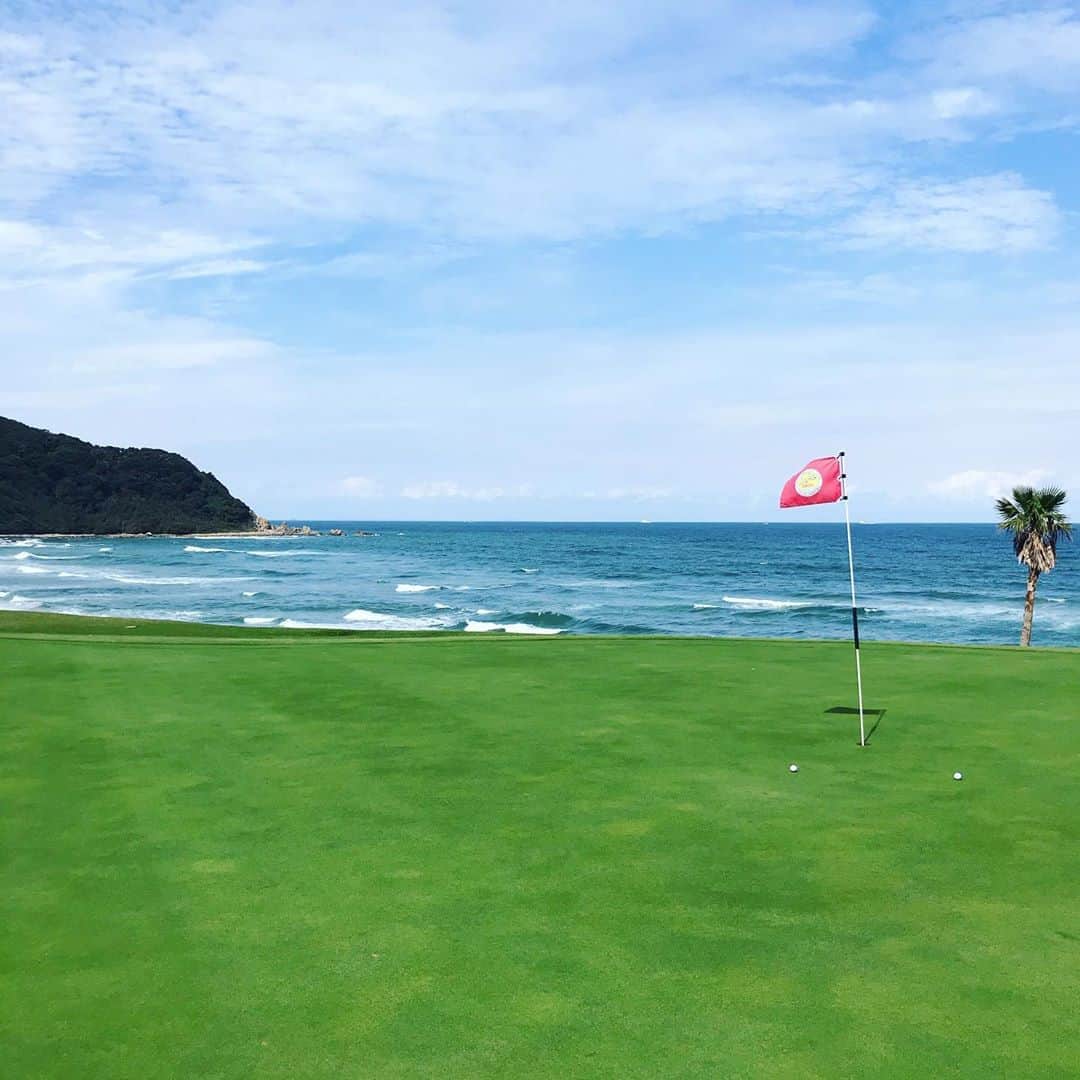 TOGGYのグルメインスタ