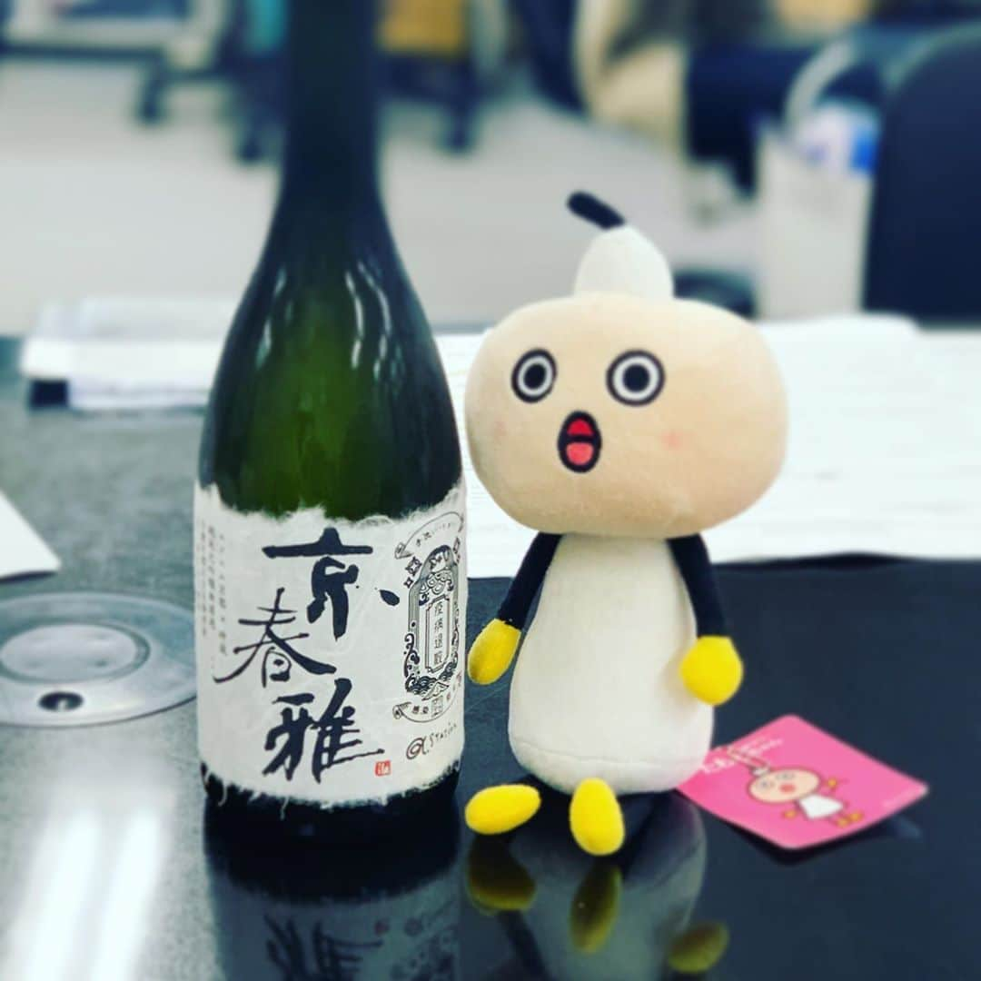 DJ AIKO 62さんのインスタグラム写真 - (DJ AIKO 62Instagram)「今年の京春雅はこれまでで一番好みの味わいでした。少しだけ試飲させてもらいました😊  #京都 #松井酒造 #京都のお酒 #たわわちゃんは見てるだけ #日本酒 #DJAIKO62 #今日もスタジオにはたわわちゃん #試飲 #αステーション #コラボ日本酒 #京春雅 #京春雅with疫病退散アマビエ  #アマビエ様 #過去pic」9月23日 14時32分 - djaiko62