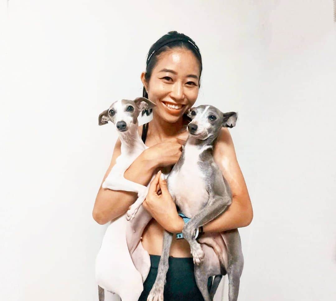 Erika Yamaguchiさんのインスタグラム写真 - (Erika YamaguchiInstagram)「#ドッグレスキュー アネラ (#千葉県 ) @dogrescue_anella  より無事審査を通過し #イタリアングレーハウンド の マッスルくんを保護させていただくことになりました。 #繁殖犬 として6年間檻に入れられひたすら繁殖をさせられ毛はストレスで抜けてしまい、後ろ足は虐待を受けていたせいか尻尾と足は踏まれて骨がぼろぼろになってました。最初は柵からなかなか顔を出さなかったのですが今はだいぶ周りにも慣れてきました。 良かったらマッスルとコアアカウントを作ってますので元気になる成長過程を見守っていただけたらです😊 @ig_core.muscle  #保護犬を家族に 向かえて2日目👪  #保護犬出身 のマッスル♂️ 生まれたすぐから一緒のコア♀️  これから楽しい人生を一緒に築きあげていこうね❤️  #保護犬を飼おう #愛護センター出身」9月23日 14時33分 - erika__yamaguchi