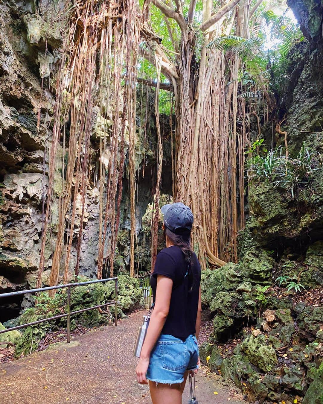 ジュリア・ミナトヤさんのインスタグラム写真 - (ジュリア・ミナトヤInstagram)「ガンガラーの谷🌴﻿ ’Valley of Gangala’ ﻿ 歴史と、長い年月の大きなエネルギーを感じる😌﻿包まれる感覚、美しさ。 ﻿ ﻿ いい気の所に足を運ぶ。幸せを運ぶ☺️✨﻿ ﻿ ﻿ ﻿ ﻿ ﻿ ﻿ #ガンガラーの谷#沖縄#自然#ValleyofGangala」9月23日 14時56分 - julia.minatoya