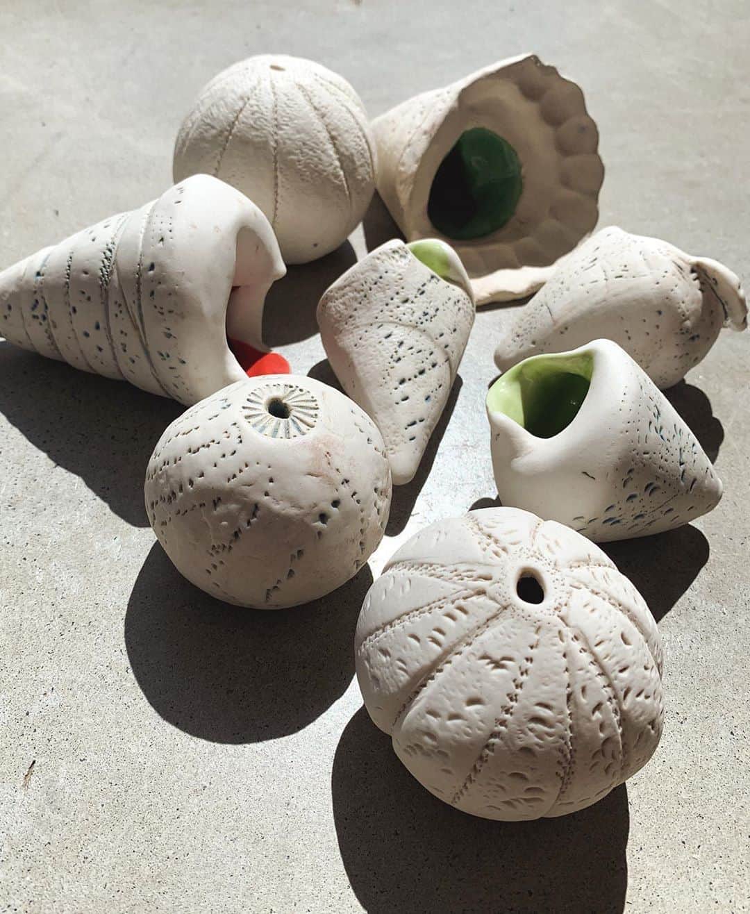 フェリシティー・パルマティアーさんのインスタグラム写真 - (フェリシティー・パルマティアーInstagram)「Porcelain shells created with Dad. You can see more over on @flickpalmateer.art #porcelain #handmade #ceramics #flickpalmateerart #felicitypalmateerart」9月23日 7時15分 - flickpalmateer