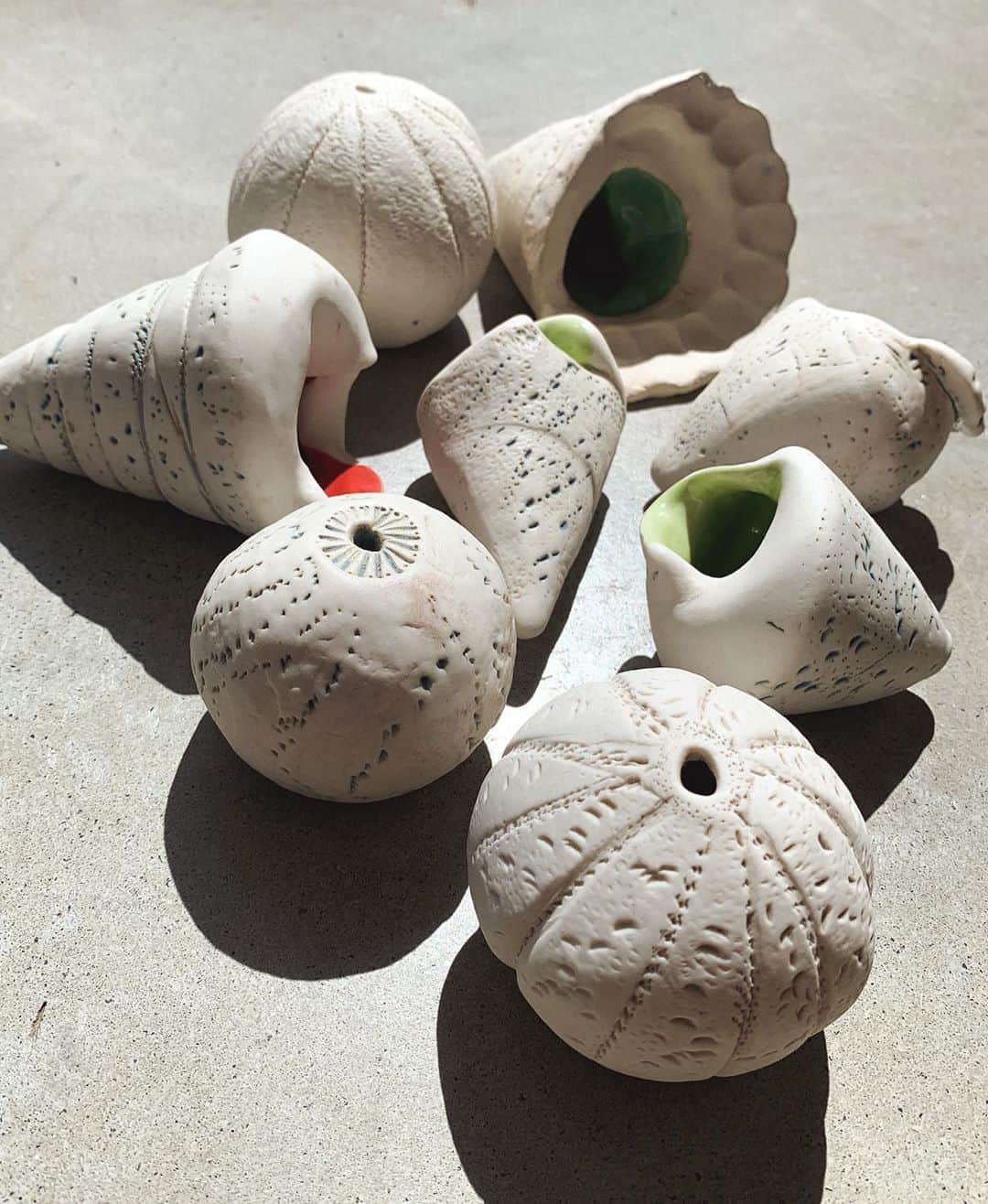フェリシティー・パルマティアーのインスタグラム：「Porcelain shells created with Dad. You can see more over on @flickpalmateer.art #porcelain #handmade #ceramics #flickpalmateerart #felicitypalmateerart」