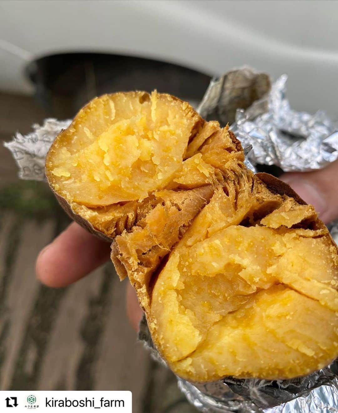 ヒデトレのインスタグラム：「🍠🥬🧅🎃🧄🥕🍆 美味しい野菜で有名なキラ星農園さんで内容盛り沢山の収穫体験のイベントですーー😄  一緒に参加してくれる人の募集はじまりましたー⭐️ワクワク🥳  みなさんご一緒に、地球と繋がりましょ🤝🌏💓  #Repost @kiraboshi_farm with @make_repost ・・・ 情報がわかりにくかったので、再投稿します🙇‍♂️  さつまいも掘りの詳細をお知らせします🍠  10月10日（土） 11時〜15時 場所：キラ星農園 参加費：10000円※子供は無料（10歳以上は食事代として別途550円いただきます）また、ご家族、パートナーとの参加はお土産等ご相談承ります。 　☆前回参加者と定期購入（会員様）は会員価格を設定しております。お問い合わせ下さい 内容： さつまいも掘り体験 @miemajyo @hidetore  をお招きし食事会のトークセッション @yasai_restaurant_jinenjonosato 自然薯の里にてお野菜たっぷりランチプレート込み 焼き芋試食🍠 ニホンミツバチの採蜜体験🐝 キラ星農園お野菜セット プロポリスのど飴 などお土産等全て込みの料金となります‼️   ※当日小山駅東口から畑までバスでの送迎あり  協賛 @granvo_japan   となります。 参加申し込みはキラ星農園のメッセージのみとなります。 締め切りは9月30日（水） ※人数制限を設けておりますので、定員に達した場合はお断りする場合もあります。ご了承ください🙏  その他詳細は参加申し込みされた方へお知らせしますので、よろしくお願いします🤲」