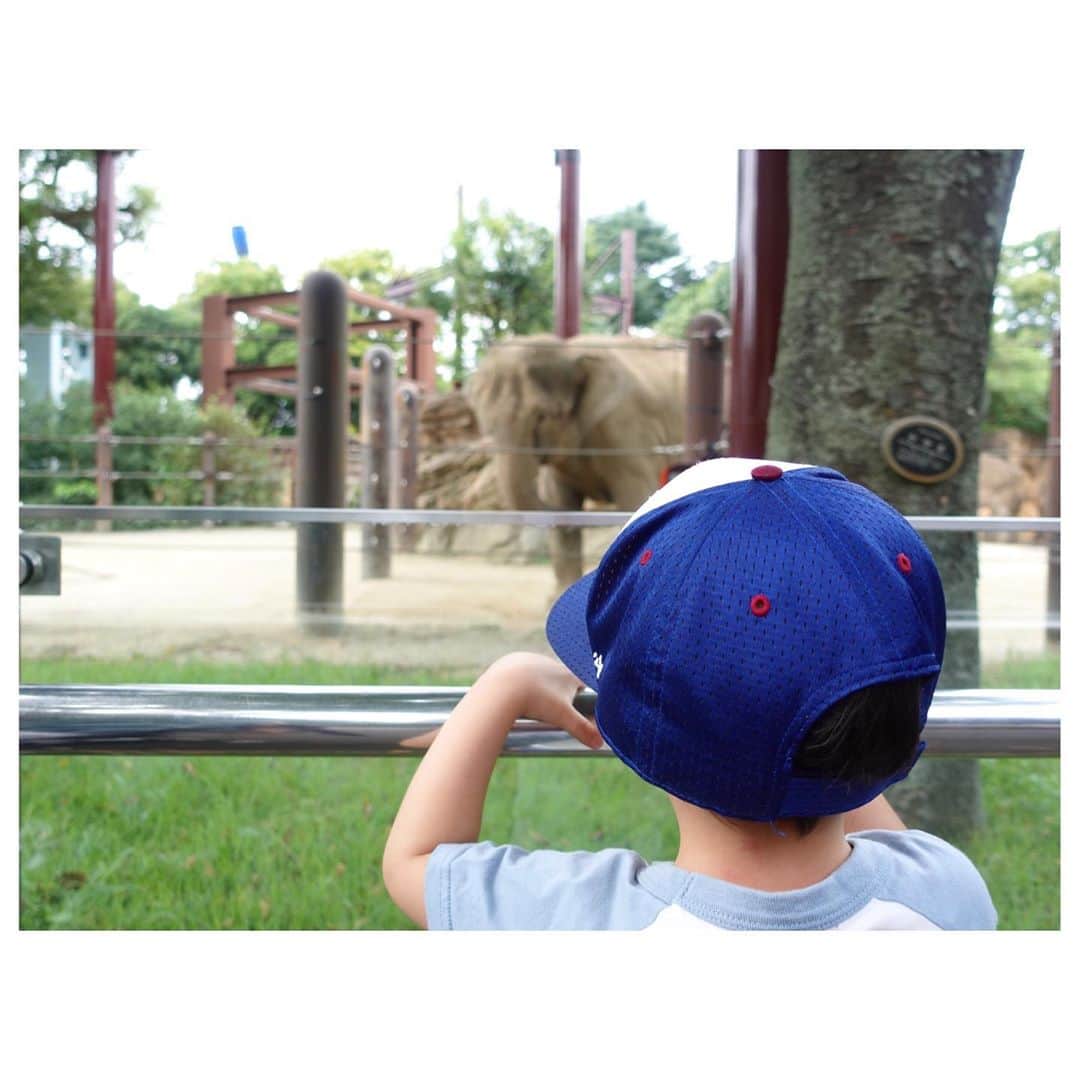 押切もえさんのインスタグラム写真 - (押切もえInstagram)「🐘 連休最終日は、親子で楽しみにしていた上野動物園へ。  1枚目は、象と3shotを撮りたくて必死な顔ですが…。  息子はゾウやパンダのほか、ホッキョクグマやアザラシに夢中でした。  後半は寝ちゃって、私のソロ動物園でしたけどね（笑）  私も子供の時以来だったので、とても楽しめました。 豊かな自然の中、たくさん歩いて癒された…！  帰ってからは動物のお絵描きをしたよ。  連休明けの今日も、お仕事がんばりまーす♪  #動物園 #四連休」9月23日 8時25分 - moe_oshikiri
