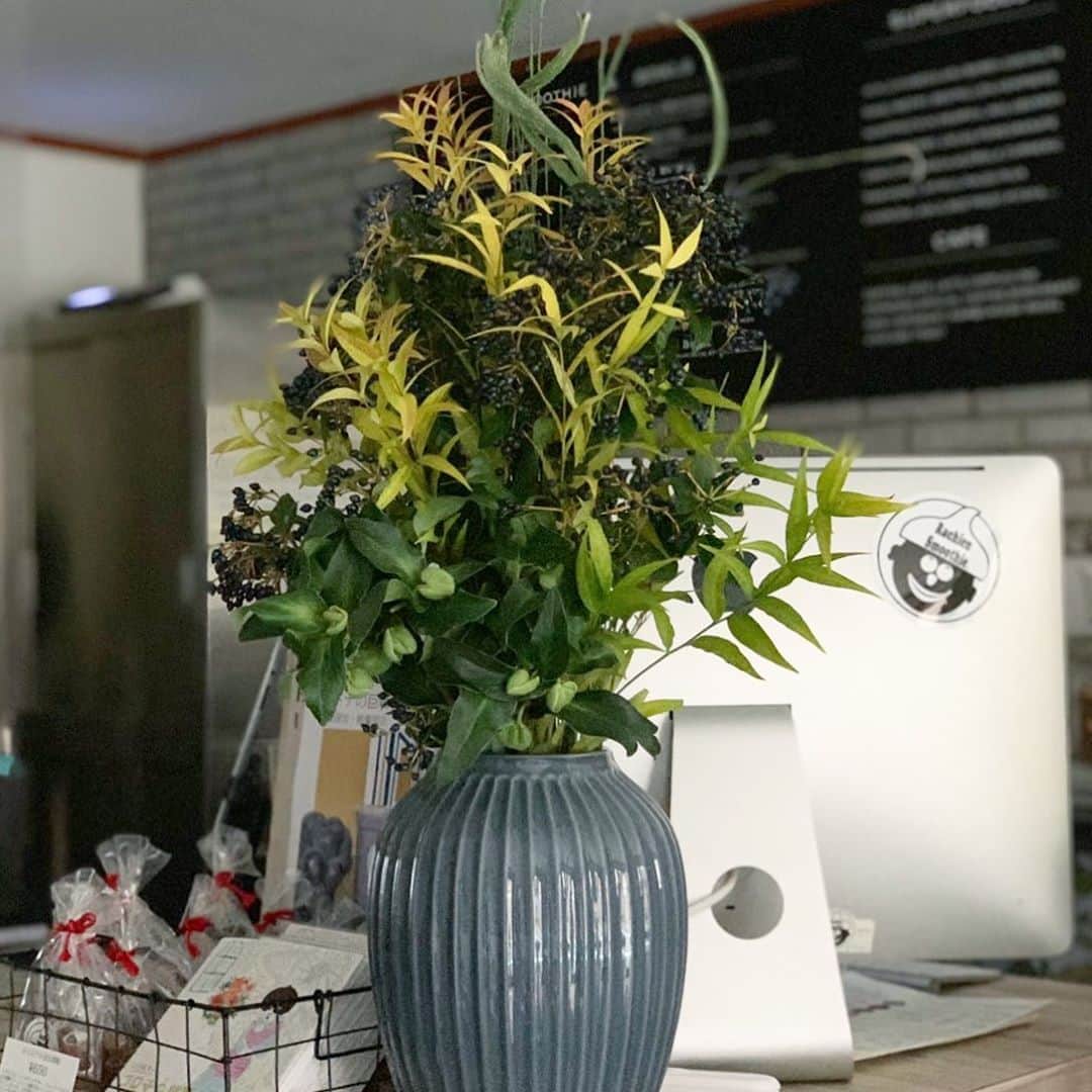 Rachien Smoothieのグルメインスタ