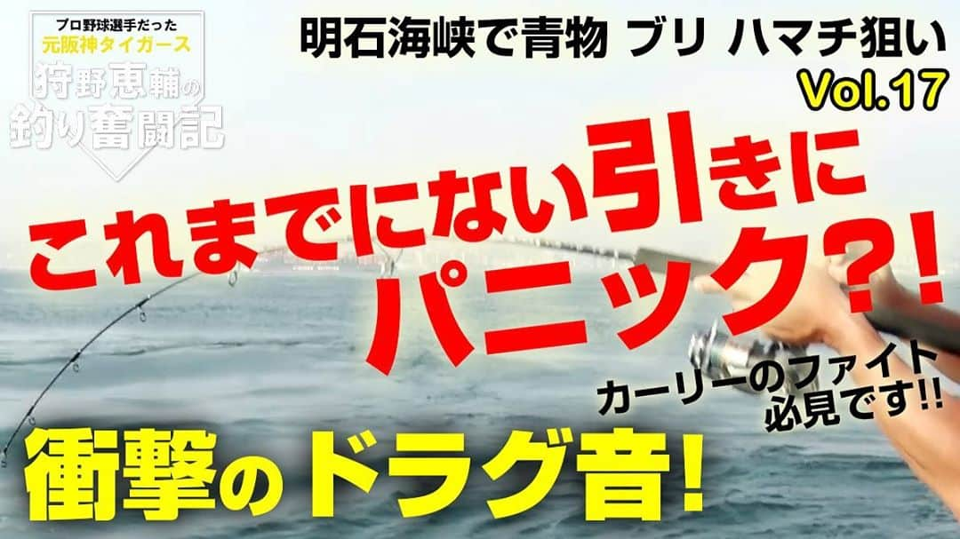 狩野恵輔さんのインスタグラム写真 - (狩野恵輔Instagram)「どんどんUPしますよ^_^ 狩野恵輔の釣り奮闘記vol.16&17‼︎ とうとう…♡ とにかく見てください(^^)  https://www.youtube.com/watch?v=qbZ8RfilhqM  #釣り奮闘記 #fishing  #明石海峡 #鯛 #青物 #ハマチ #ブリ #しょうちゃん #curry #狩野恵輔」9月23日 15時13分 - keisuke_kanoh_official